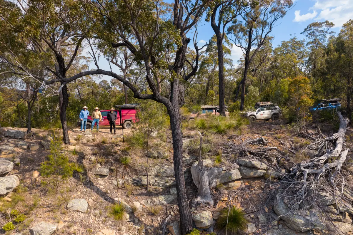 Australian bush drone shot 4Wd track