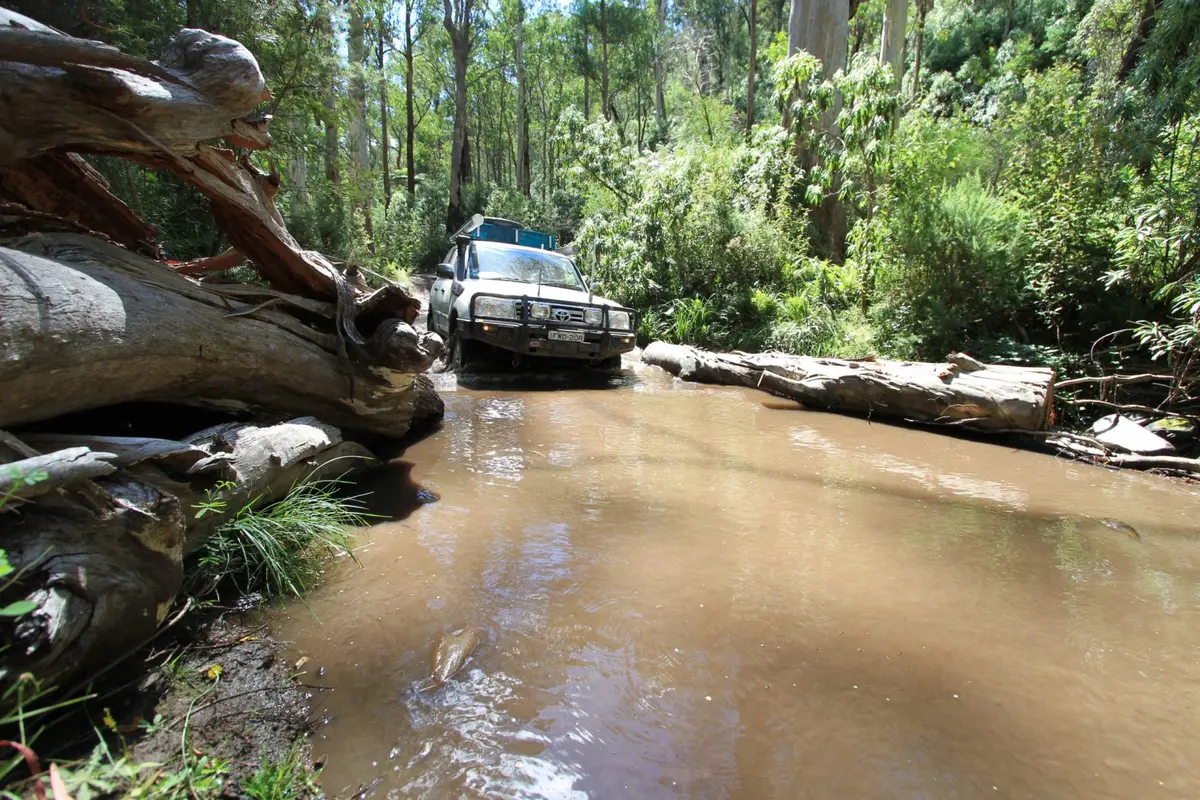 CAMPSITE, HAUNTED STREAM, VIC