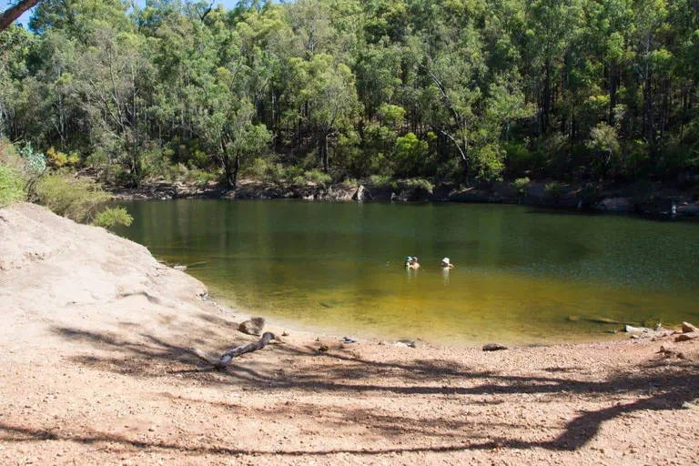 Dwellingup swimming