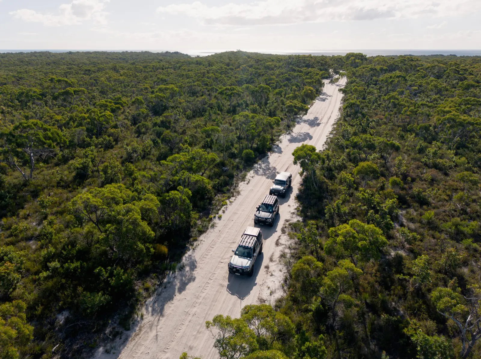 convoy of 4WDs on K'Gari driving through forested area