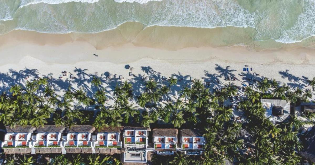 Vista aérea de un hotel boutique frente al mar, con sus cabañas entre palmeras y la playa delante.