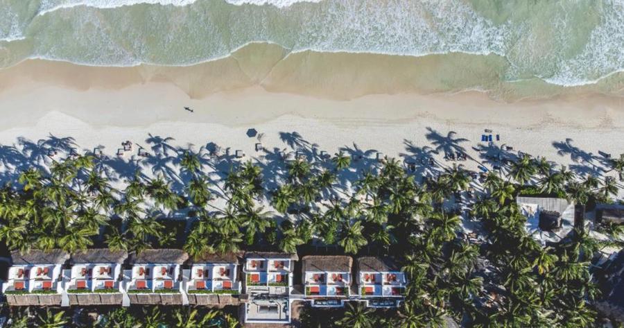 Vista aérea de un hotel boutique frente al mar, con sus cabañas entre palmeras y la playa delante.