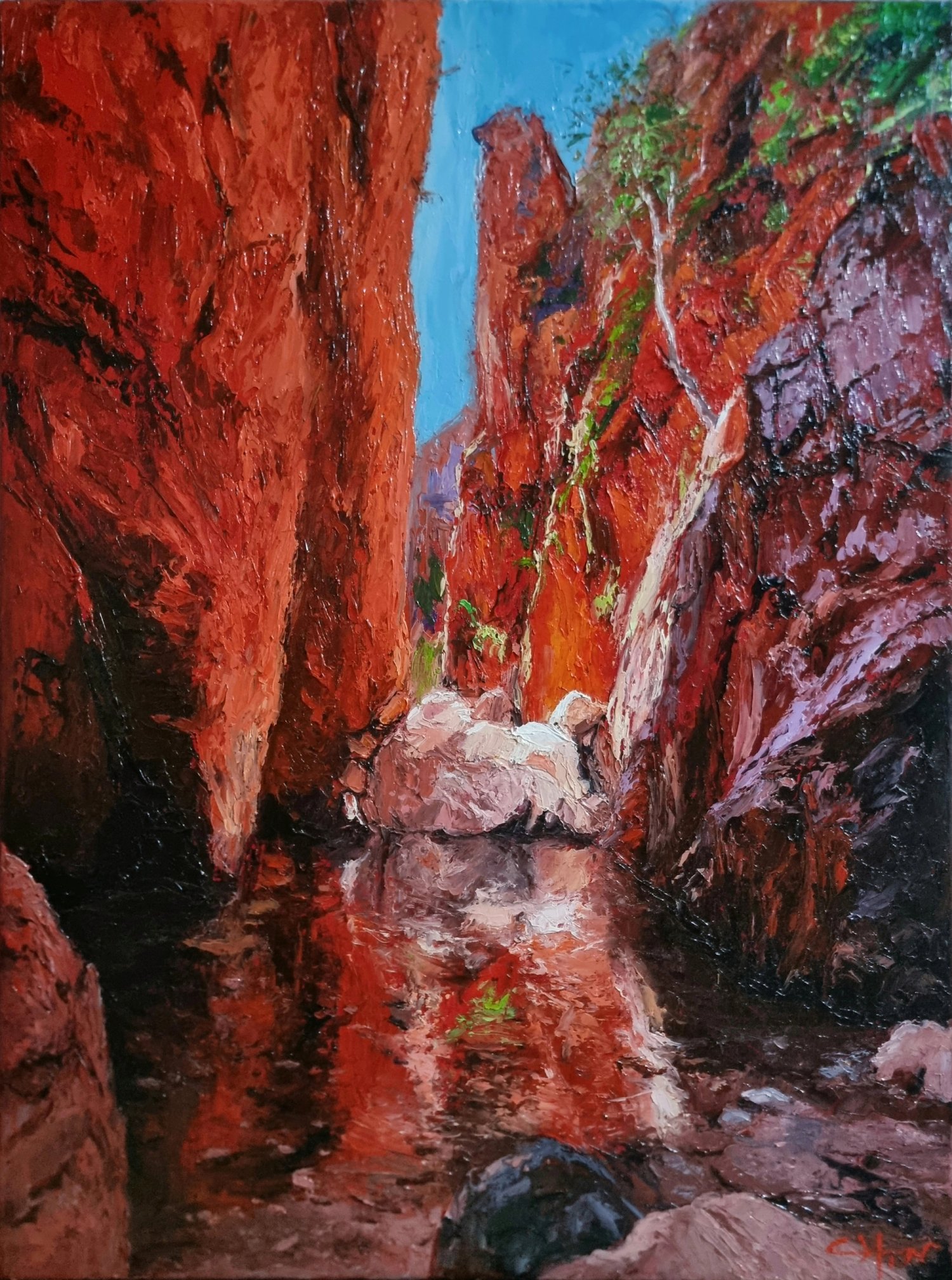 Reflection - White Boulder - Standley Chasm