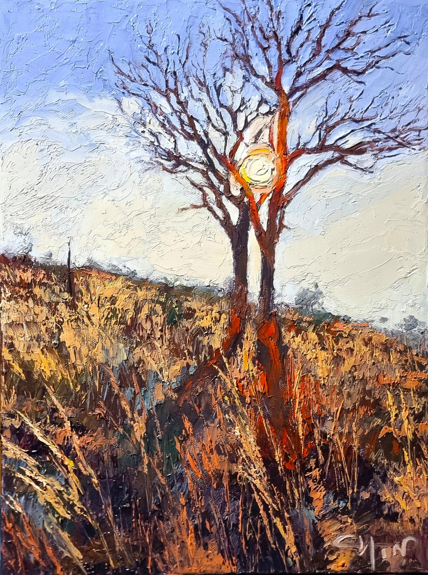 Sunrise through the Trees