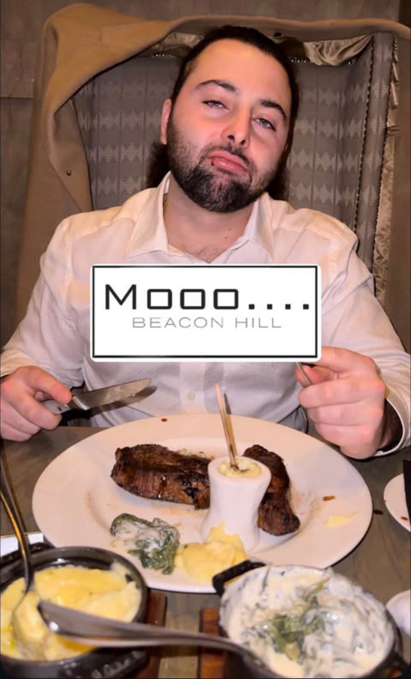 Mooo.... Beacon Hill
