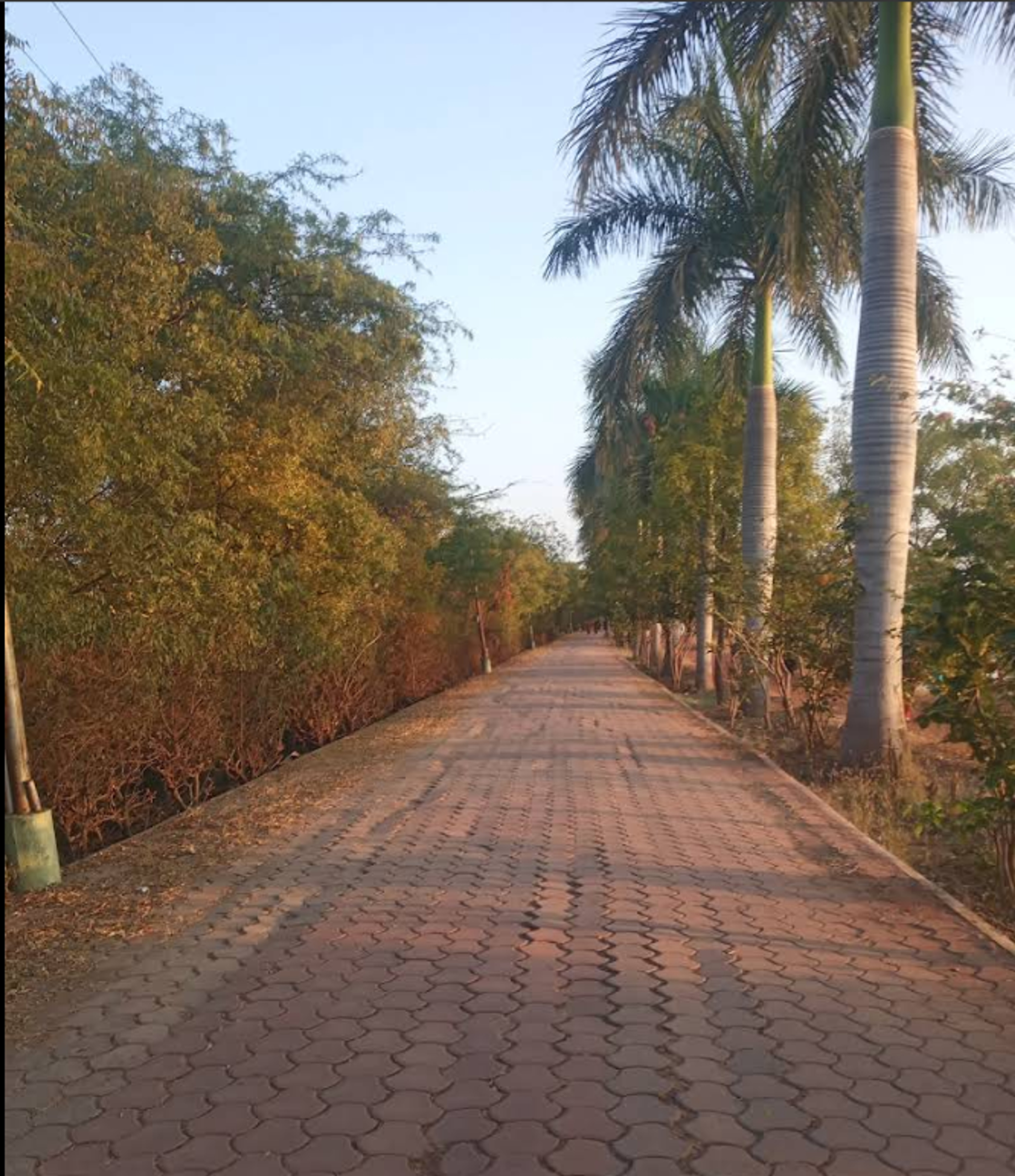 Gallery image 4 of Padmavati Lake