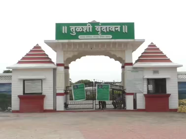 Tulsi Vrindavan
