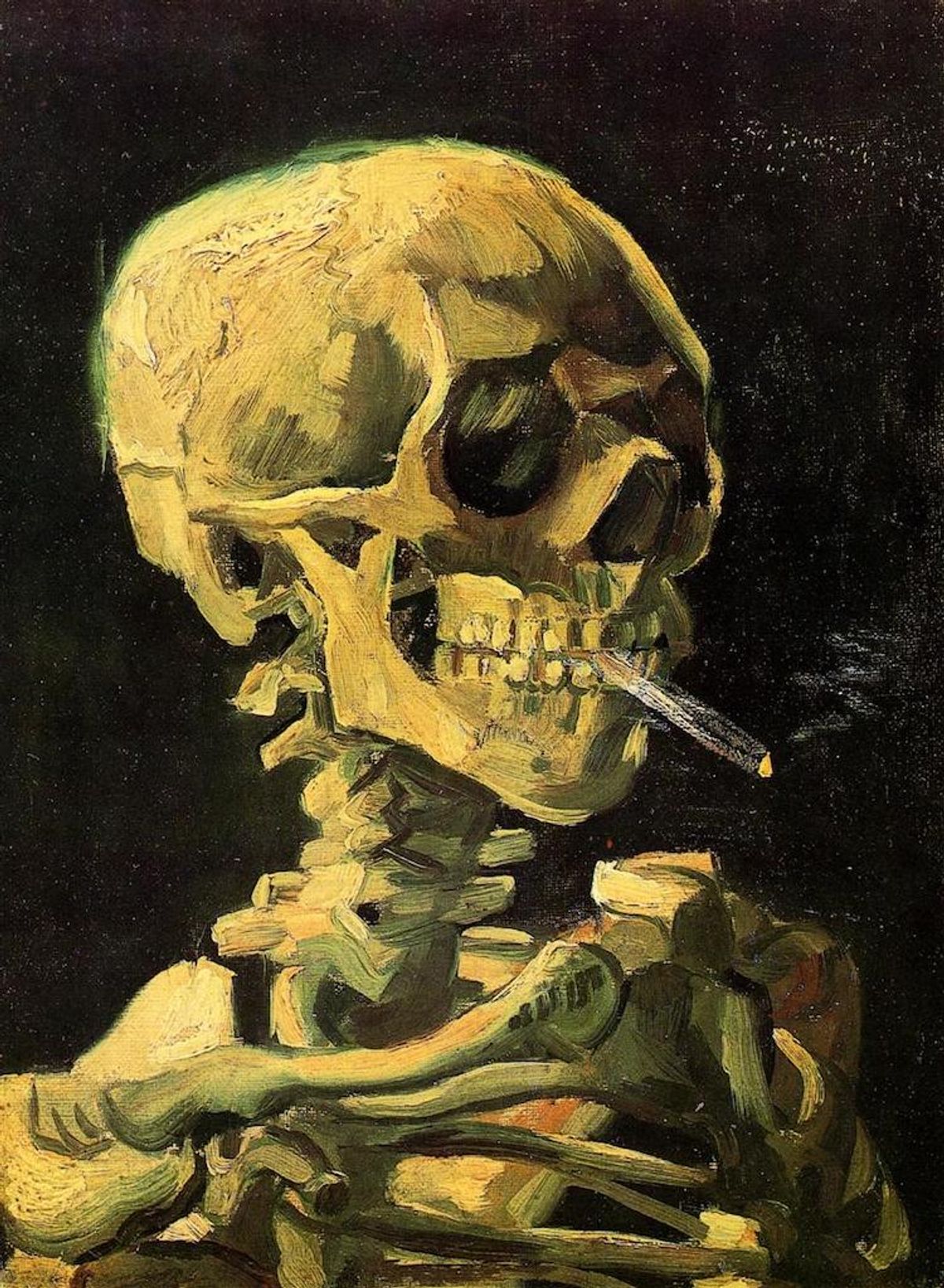 The Human Skull