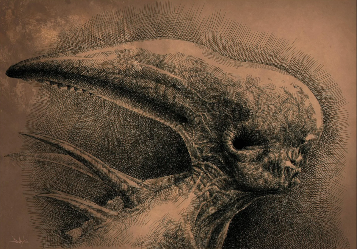 Detailed pen-and-ink concept illustration of an elongated alien creature head with a ribbed neck, sharp spines, and cross-hatched shading, in a biomechanical horror style reminiscent of Xenomorph concept art