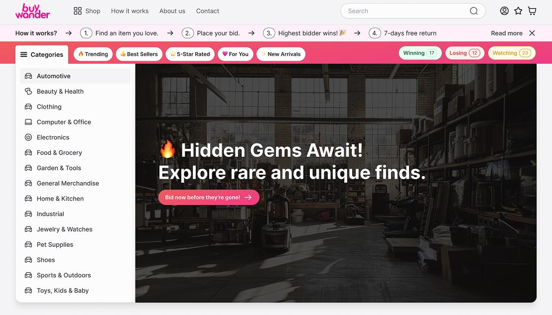 BuyWander: strategy and design