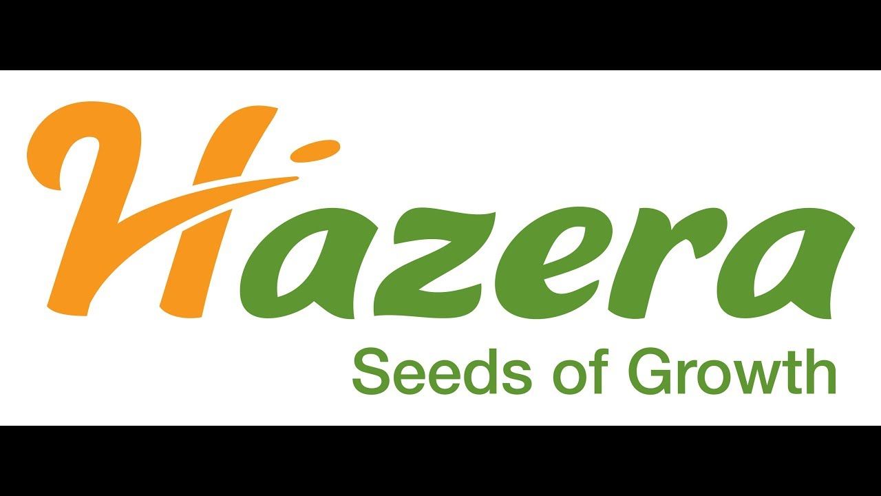 Hazera