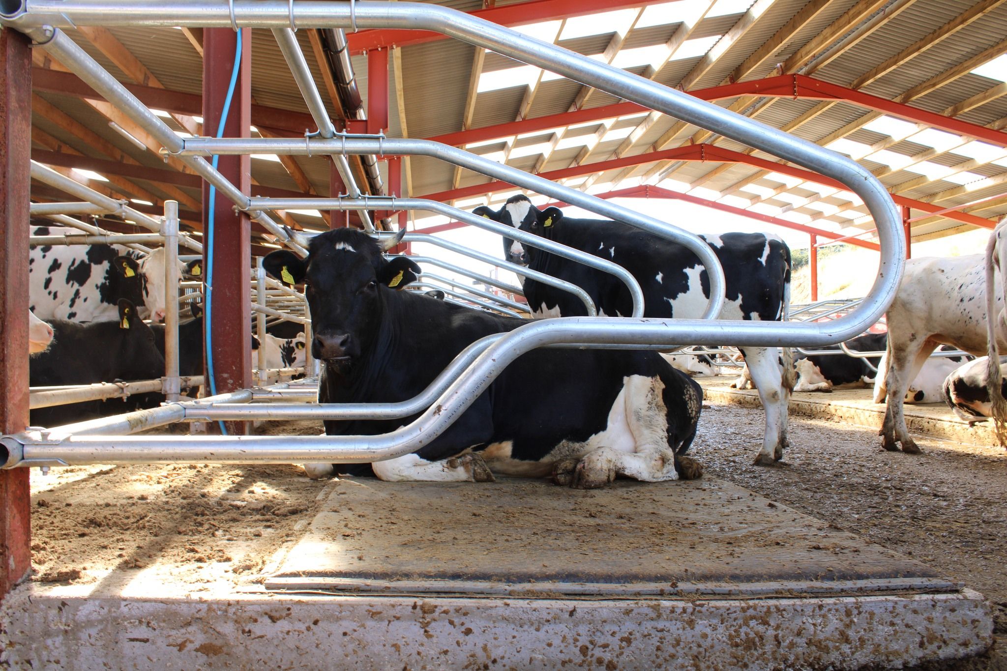 Eco Garden - Sjálfbær garðyrkja