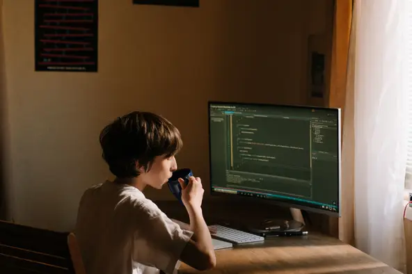 A guide to black box vs. white box testing