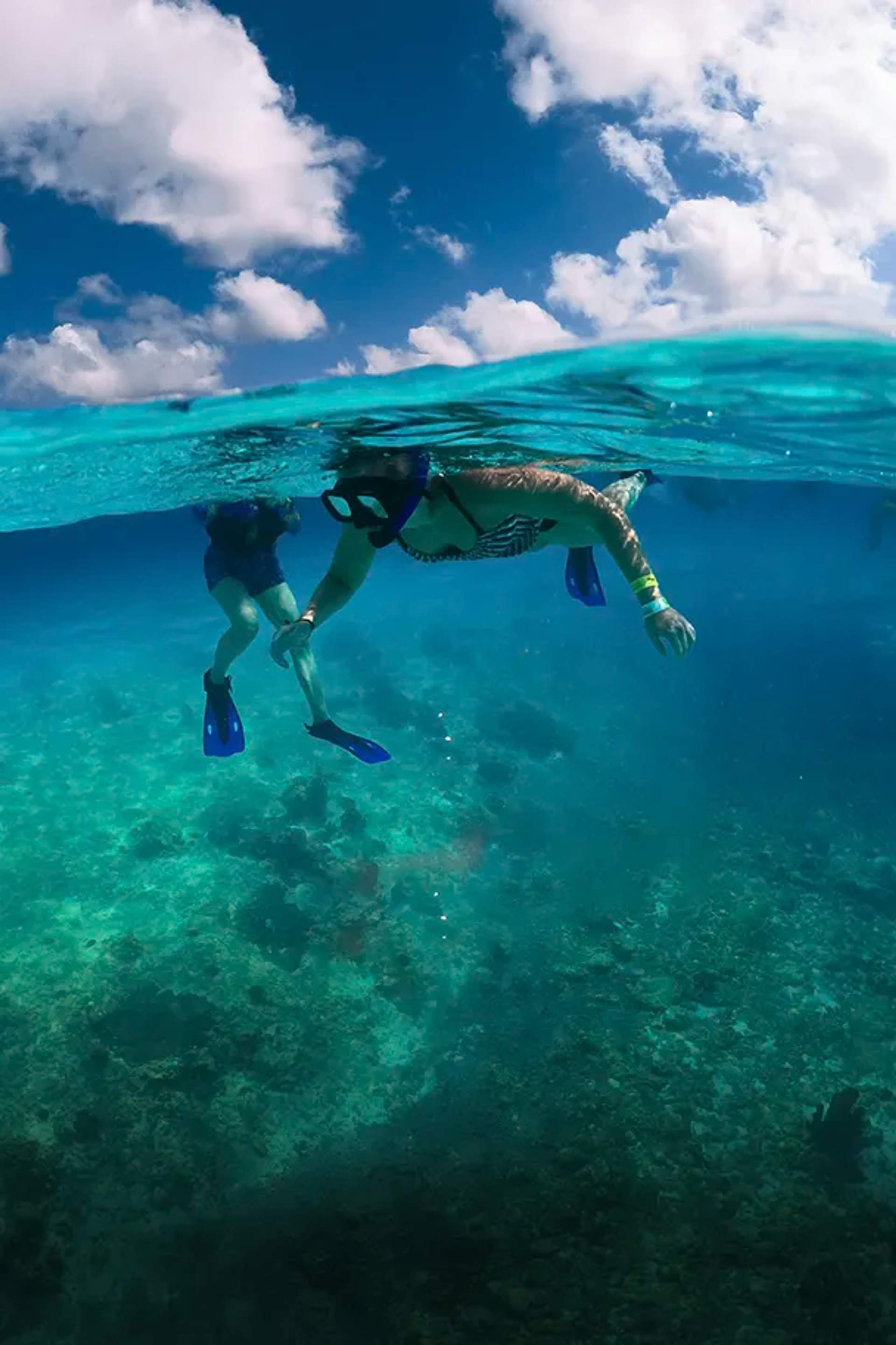 Tours en Cozumel