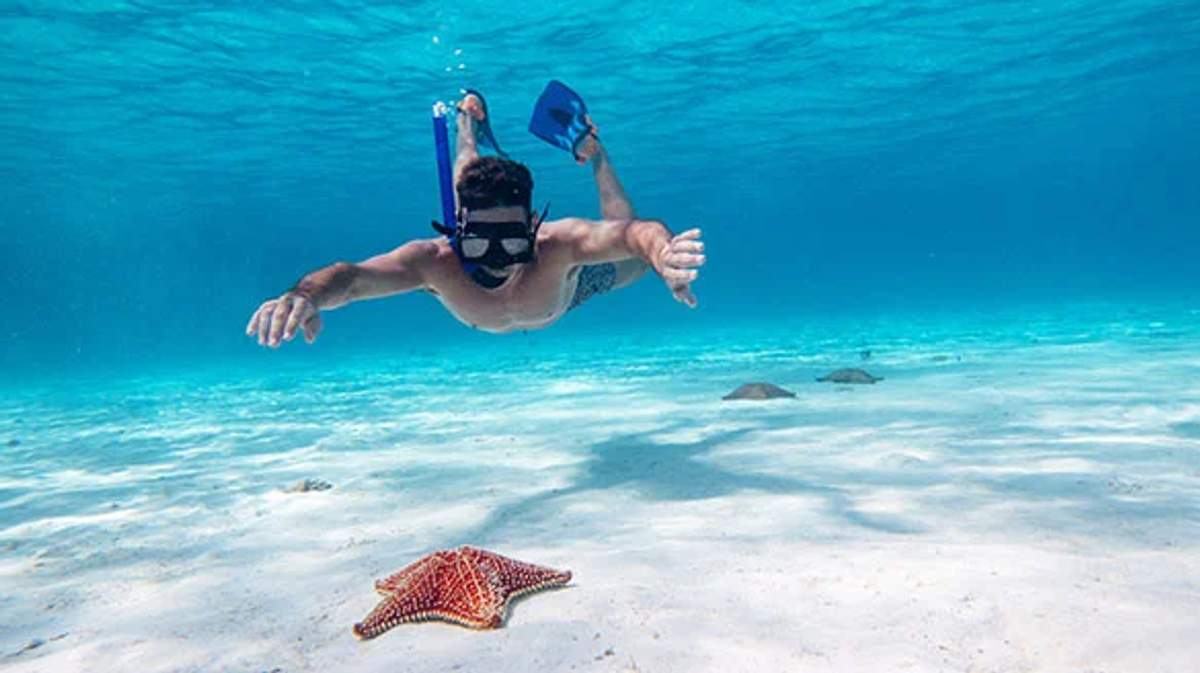 Hombre haciendo esnórquel en las aguas claras de Cancún, observando una estrella de mar en el fondo arenoso.