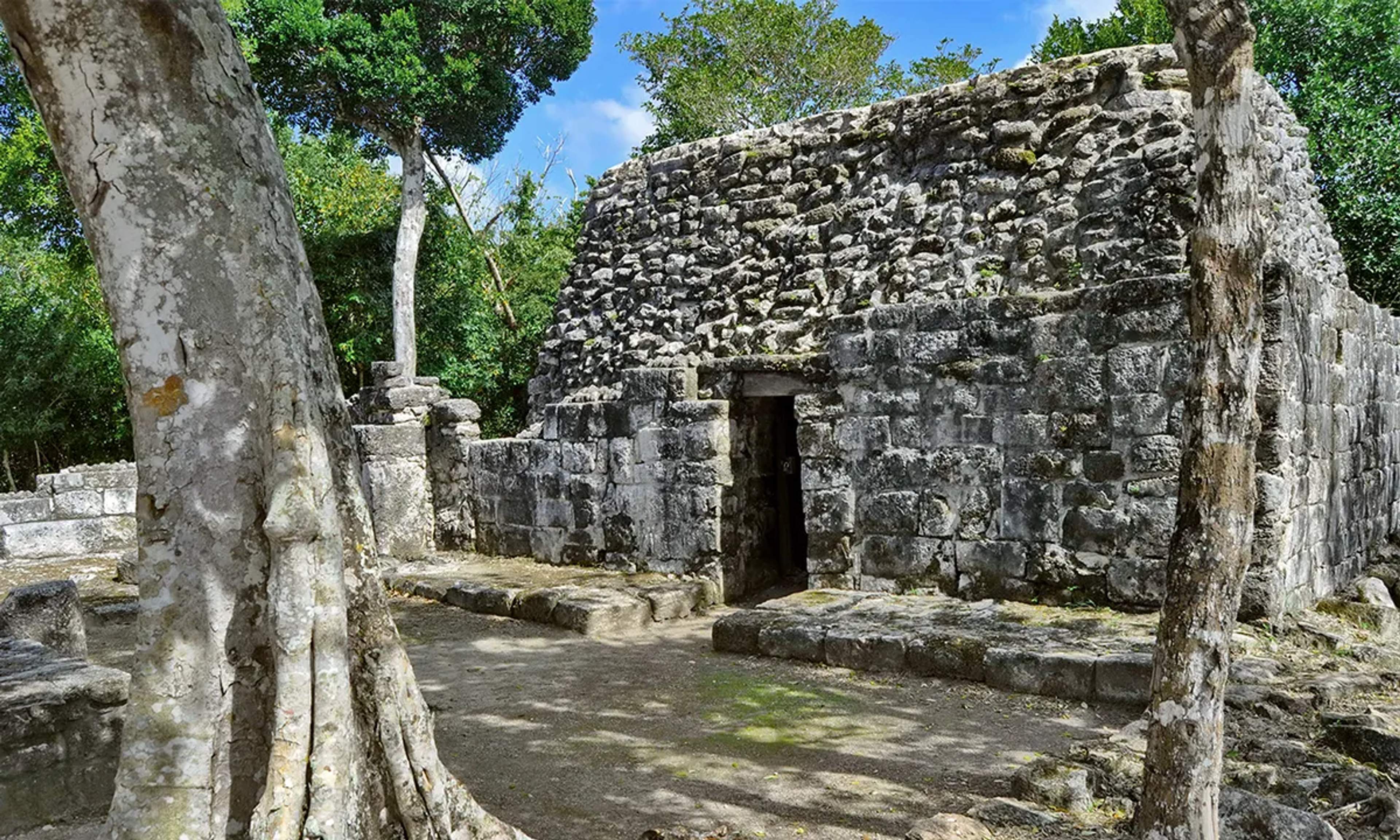 Ruinas mayas en Cozumel rodeadas de selva, un sitio arqueológico lleno de historia y conexión con la cultura ancestral.