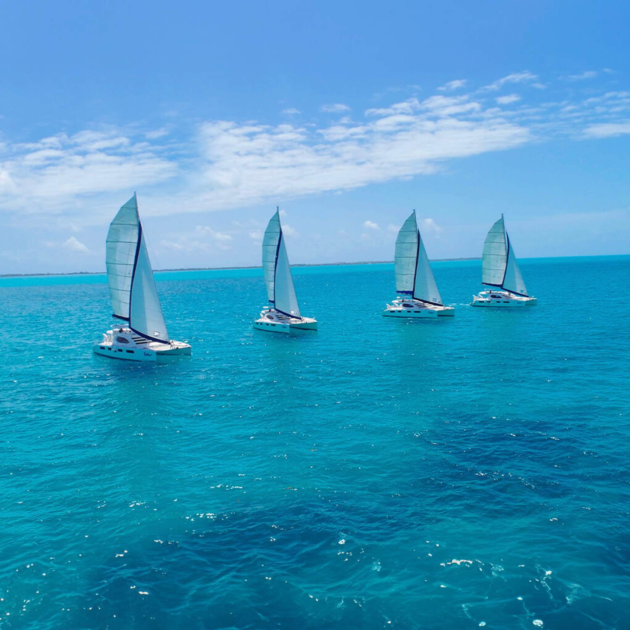 Four sailboats with white sails gliding on the vibrant turquoise waters of Cancun under a clear blue sky.