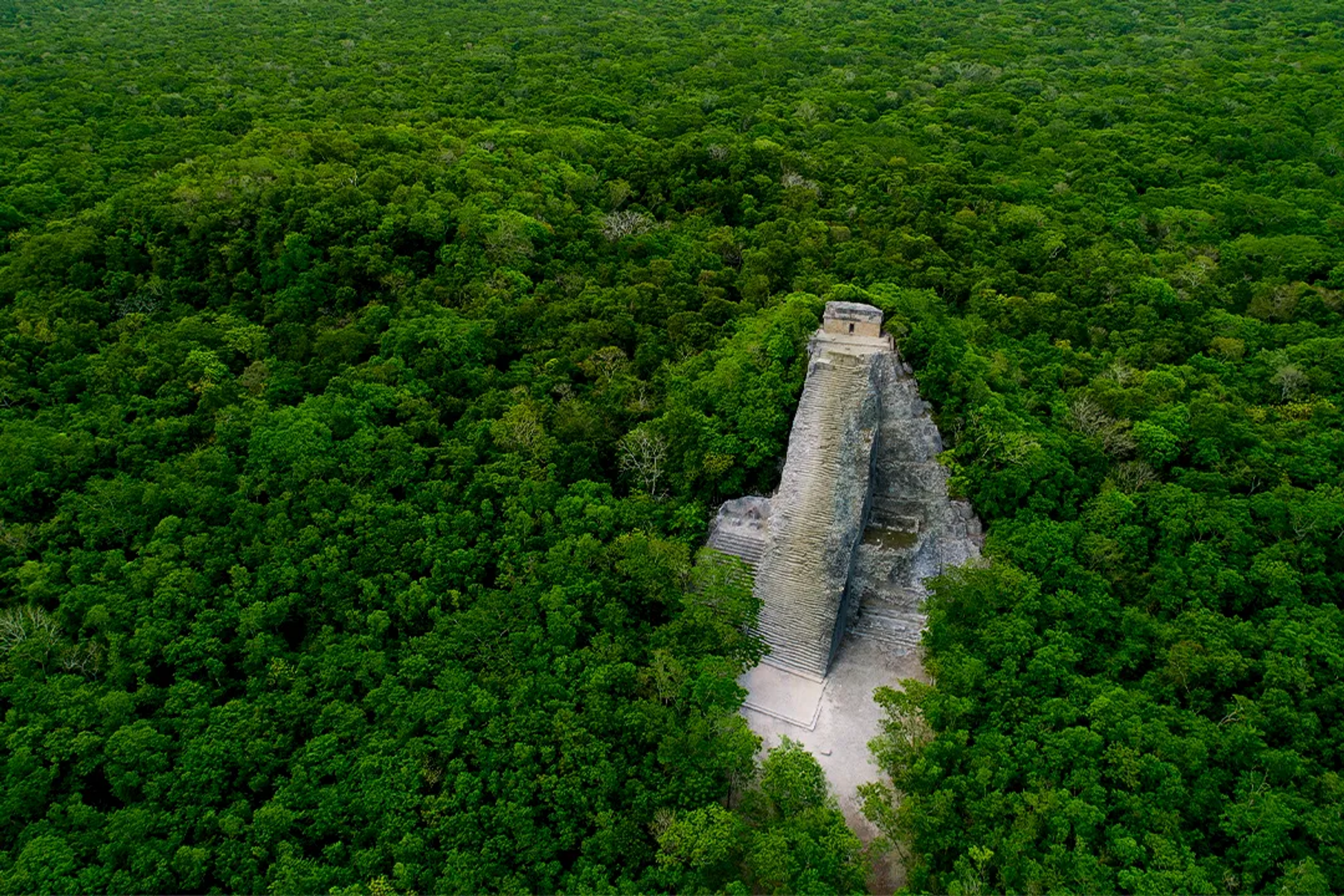 Aerial view of Nohoch Mul pyramid rising above the lush jungle of Coba, Mexico.