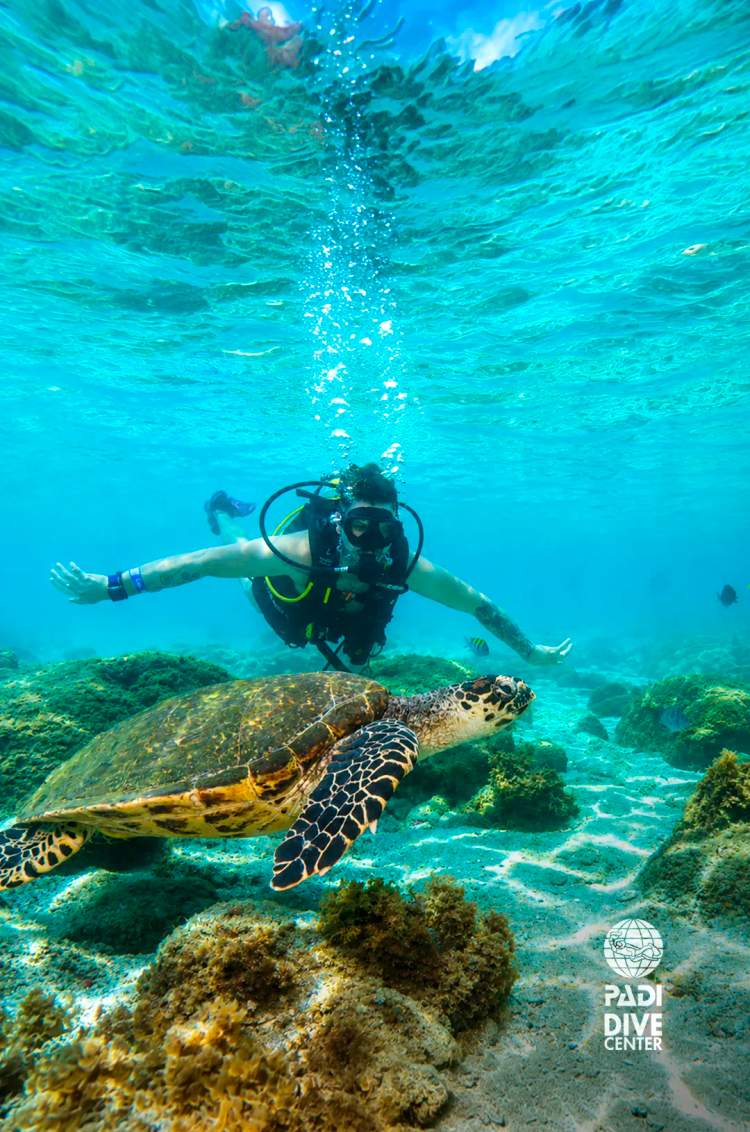 Young man enjoying a Cancun Scuba Diving tour near Akumal.