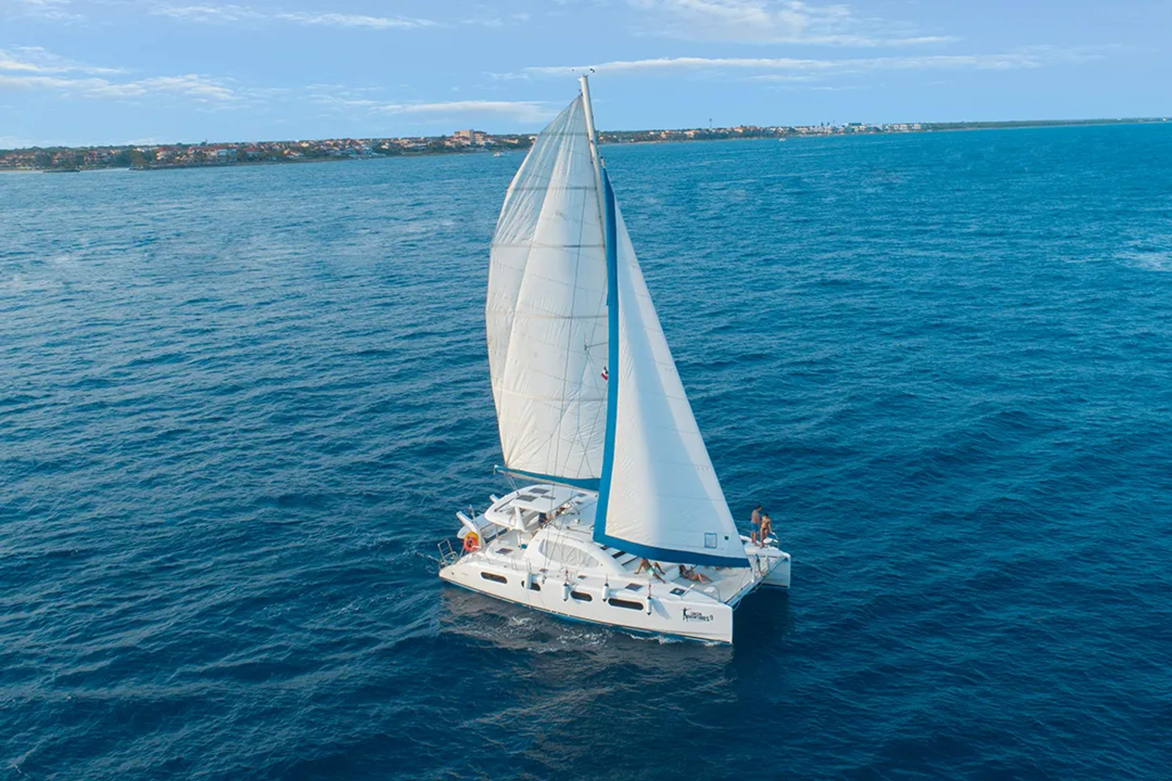Cancun Adventures van driving along a palm-lined road by the water on a sunny tropical day.