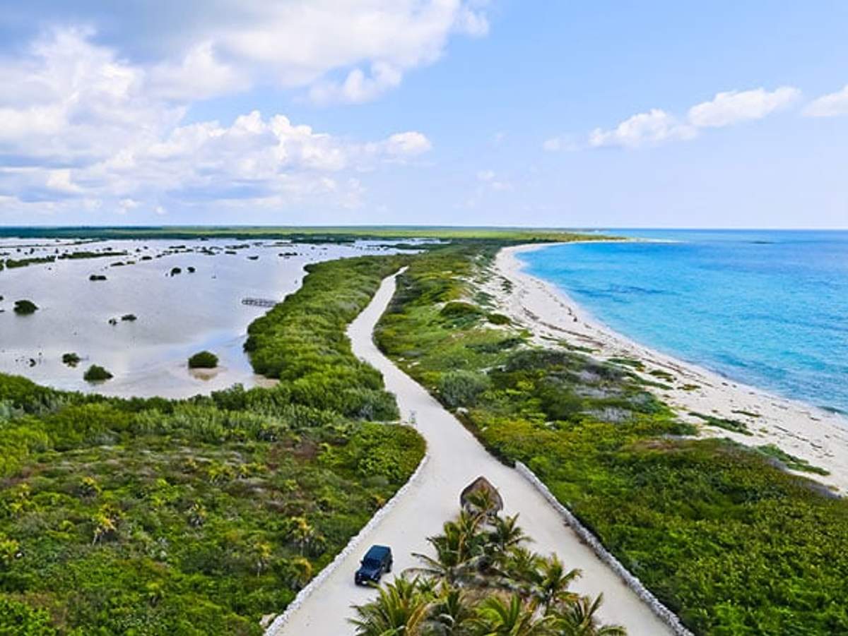 Un pintoresco camino costero conduce a las playas prístinas de Cozumel, rodeado de exuberante vegetación.