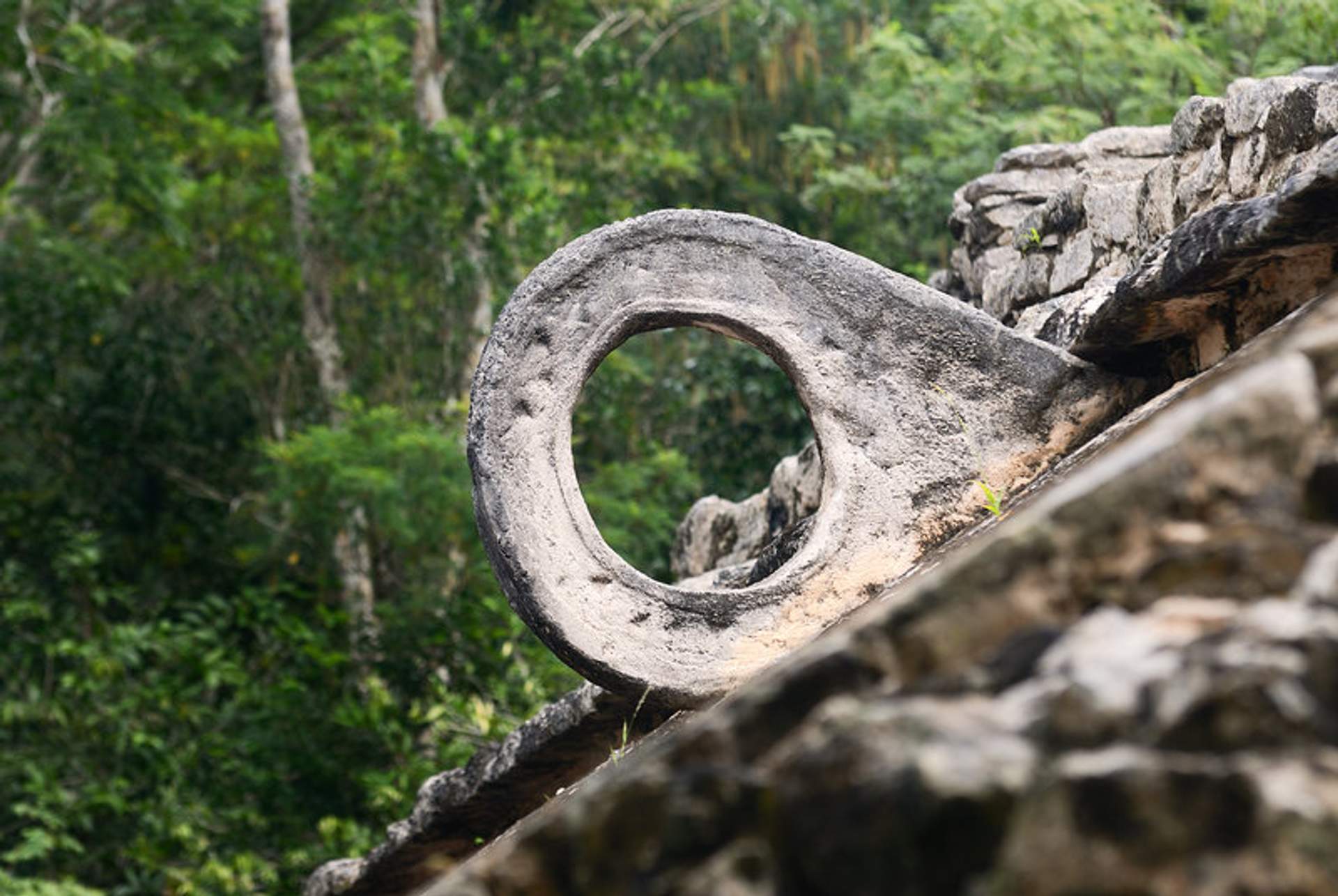 Aro de piedra del juego de pelota maya en Cobá, rodeado de densa vegetación.