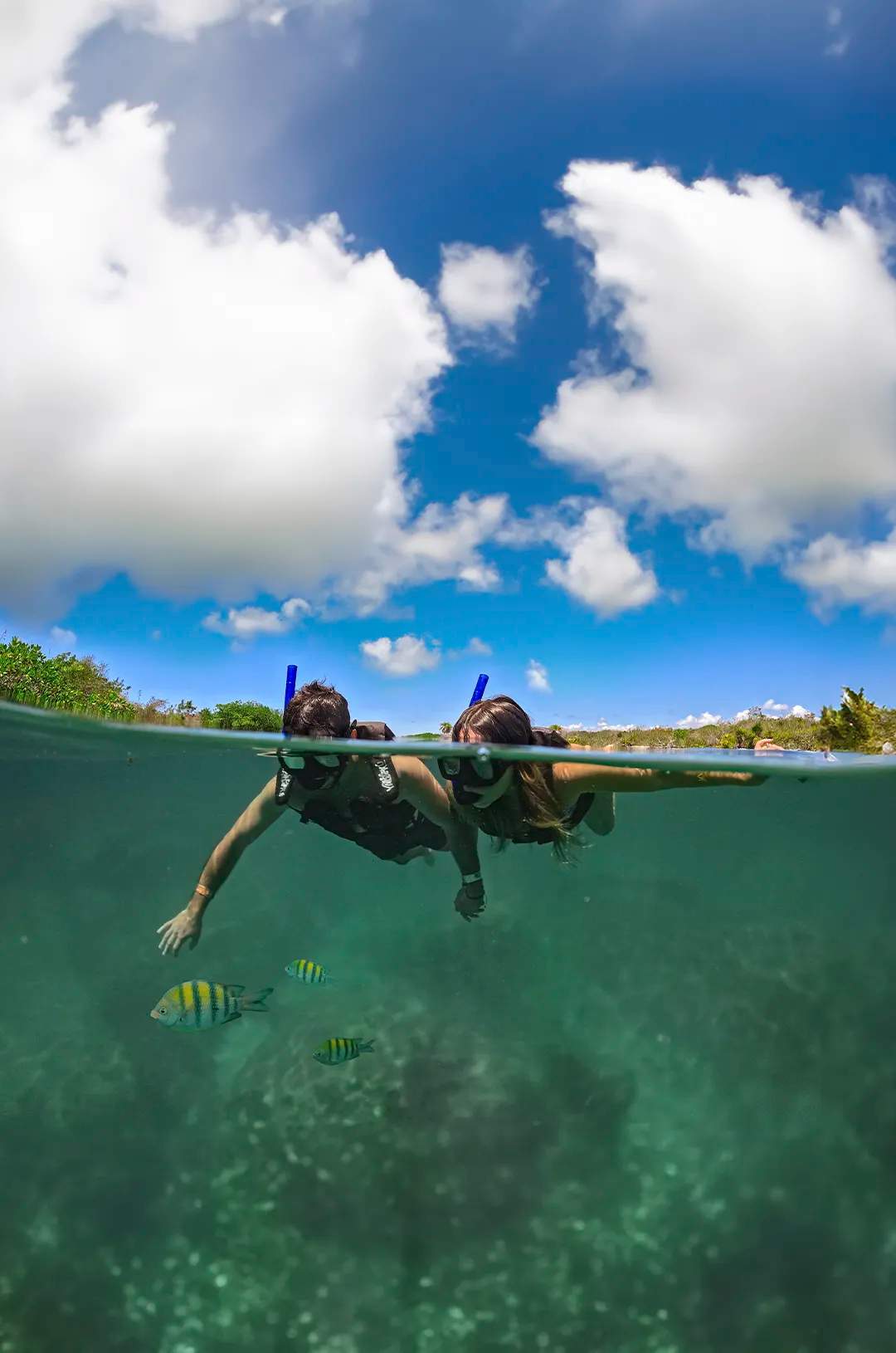 Couple snorkeling in clear water, observing colorful fish