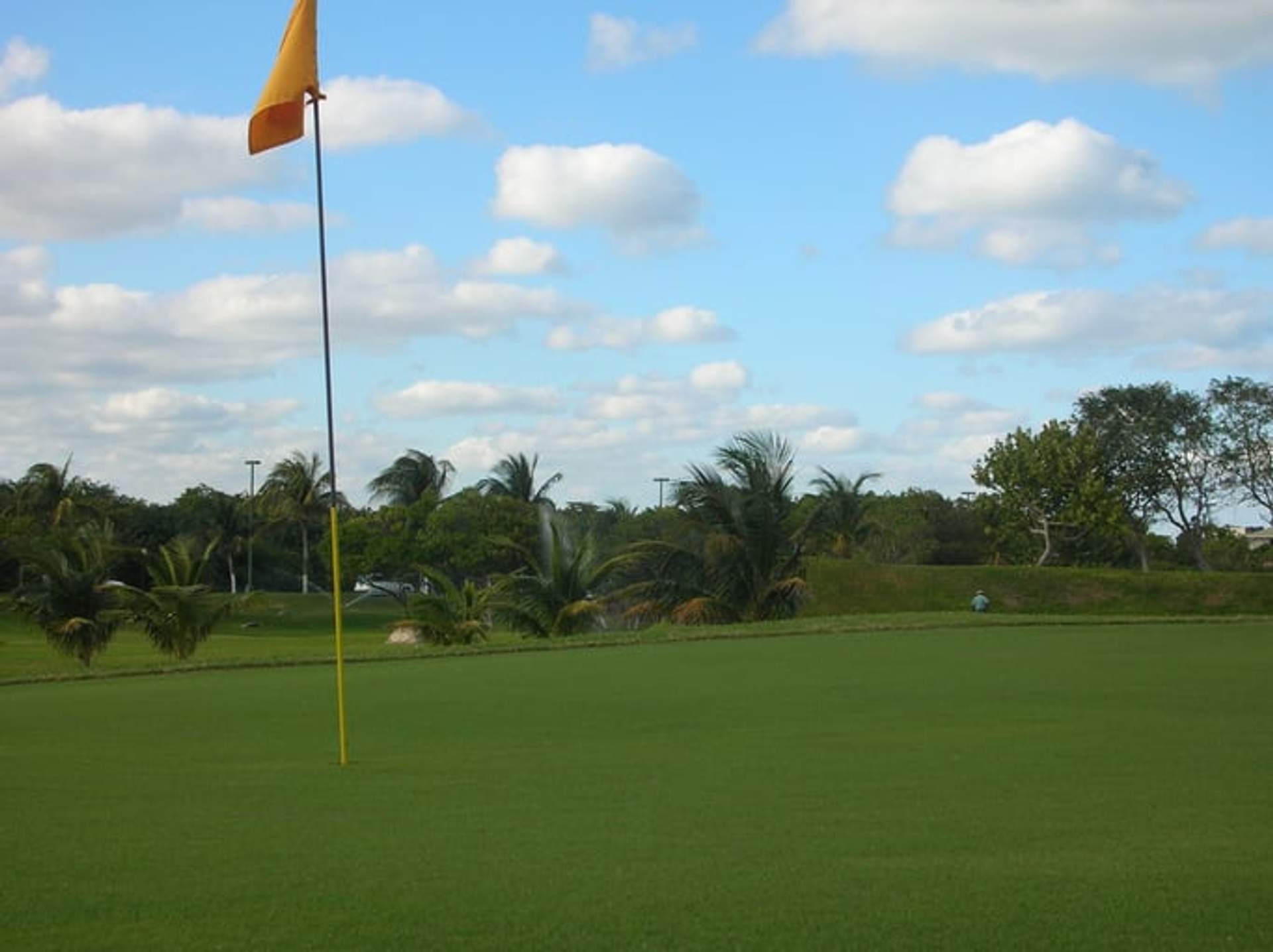 A vibrant golf green under a clear blue sky with scattered clouds. Palm trees line the background, and a yellow flag marks the hole, creating a picturesque scene perfect for a relaxing round of golf.
