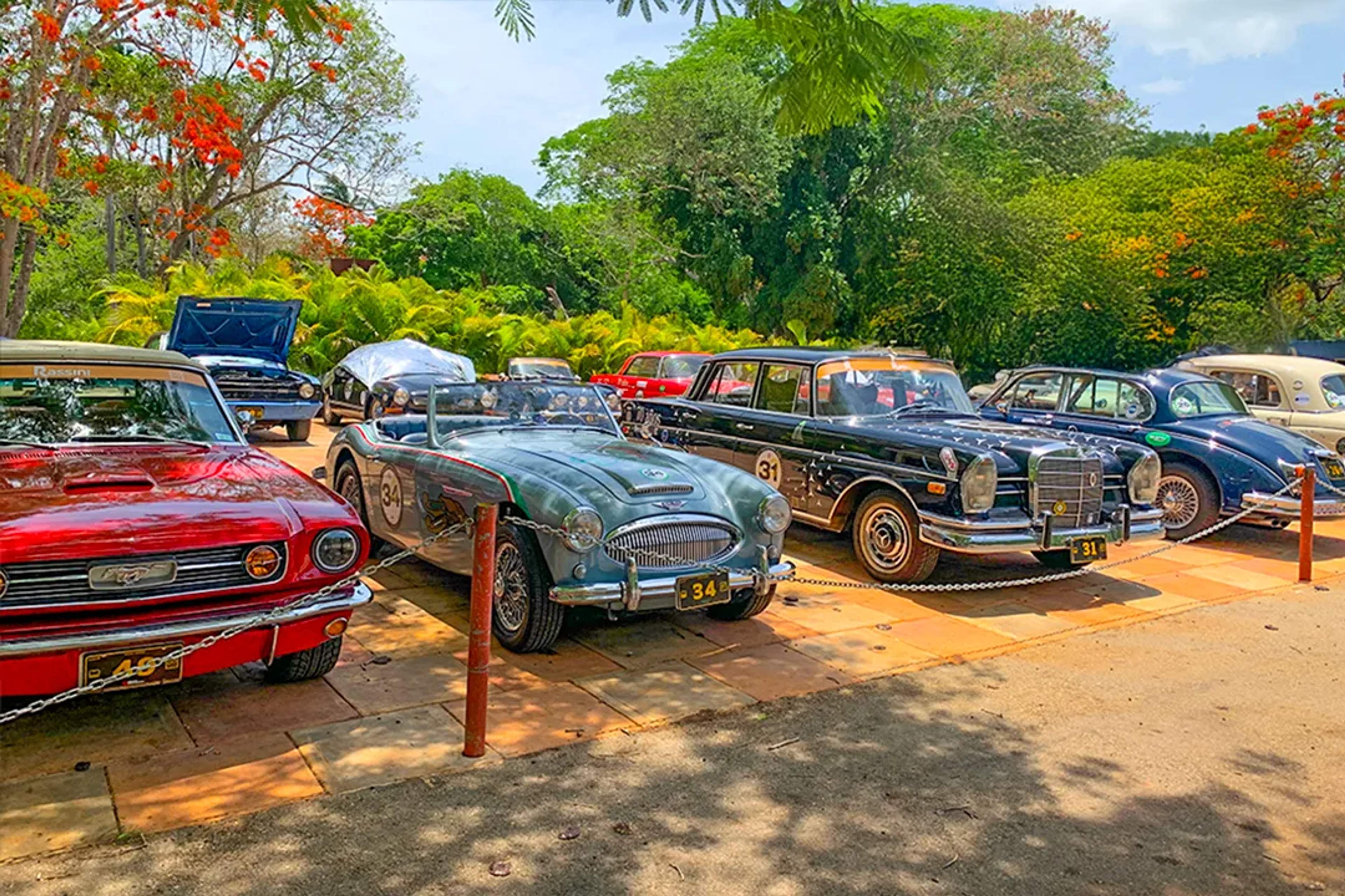 Explore vintage automobiles at Cancun’s Antique Car Museum and discover automotive history classics