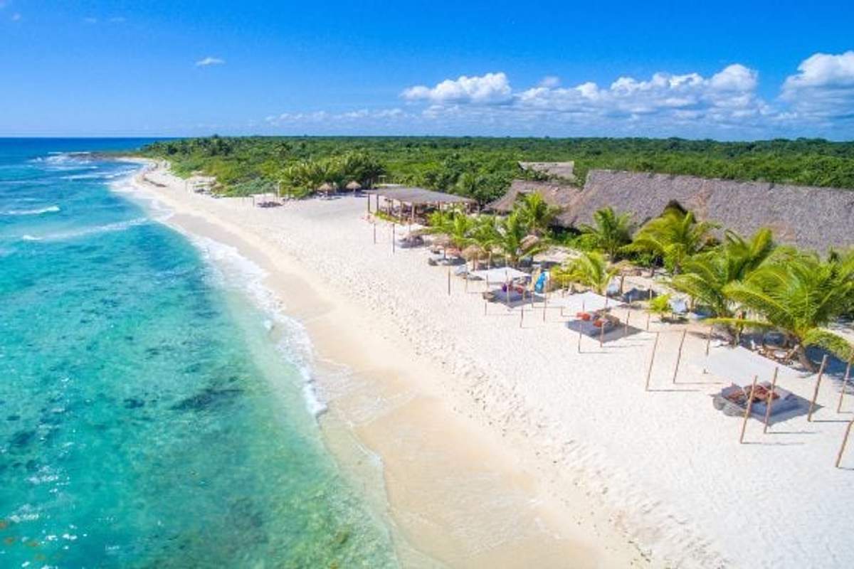 Vista aérea de una playa de arena blanca con aguas cristalinas y turquesas, rodeada de palmeras y vegetación tropical. Hay sombrillas de paja y tumbonas alineadas a lo largo de la costa, ofreciendo un lugar ideal para relajarse bajo el sol.