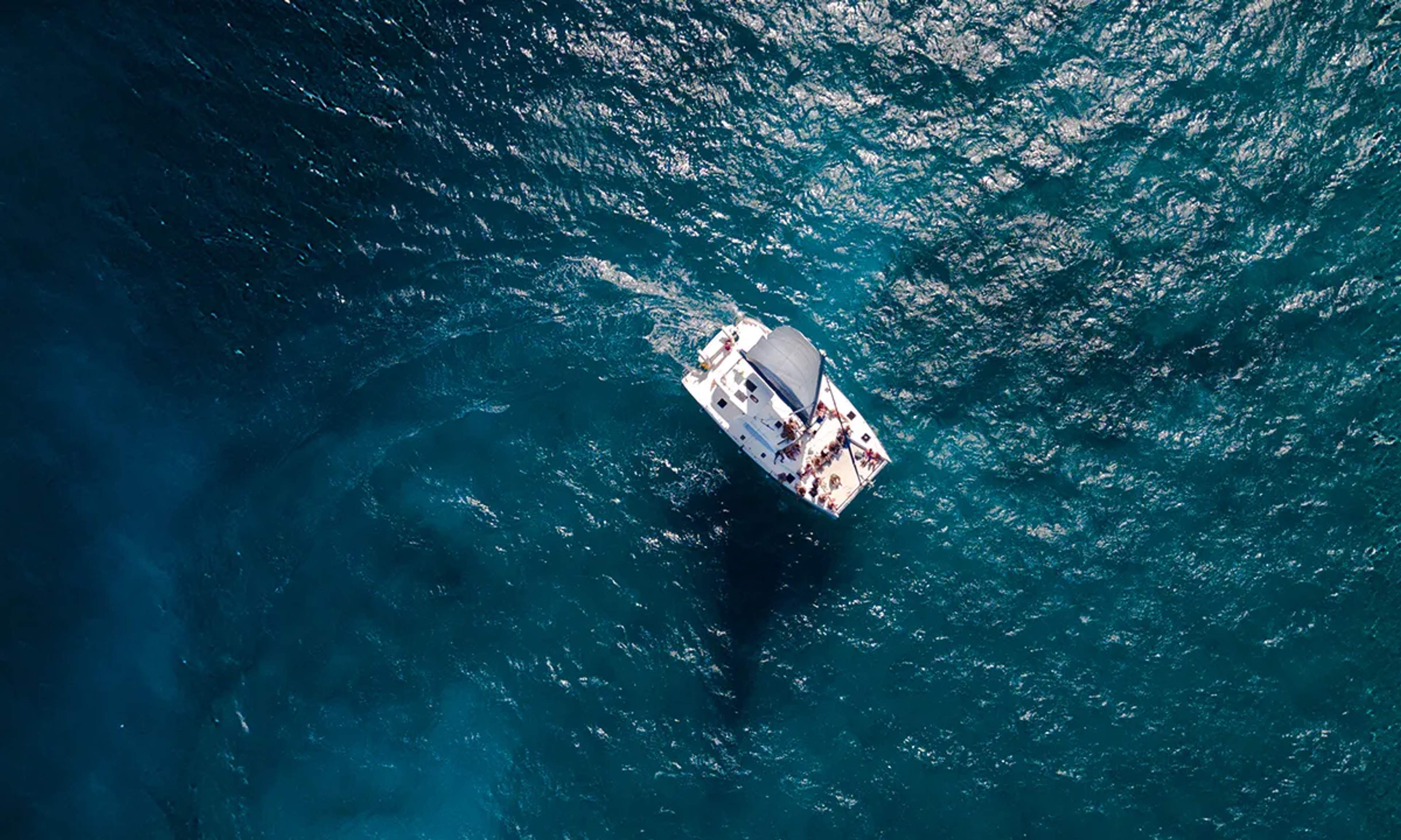 A catamaran sailing on the clear blue waters of Cancun, offering a relaxing and scenic experience.