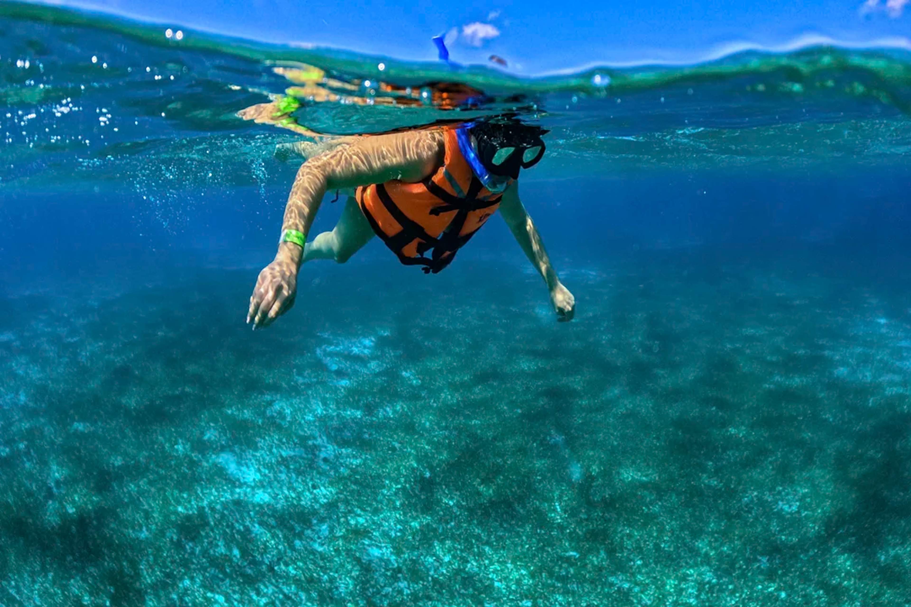 Cozumel Snorkel