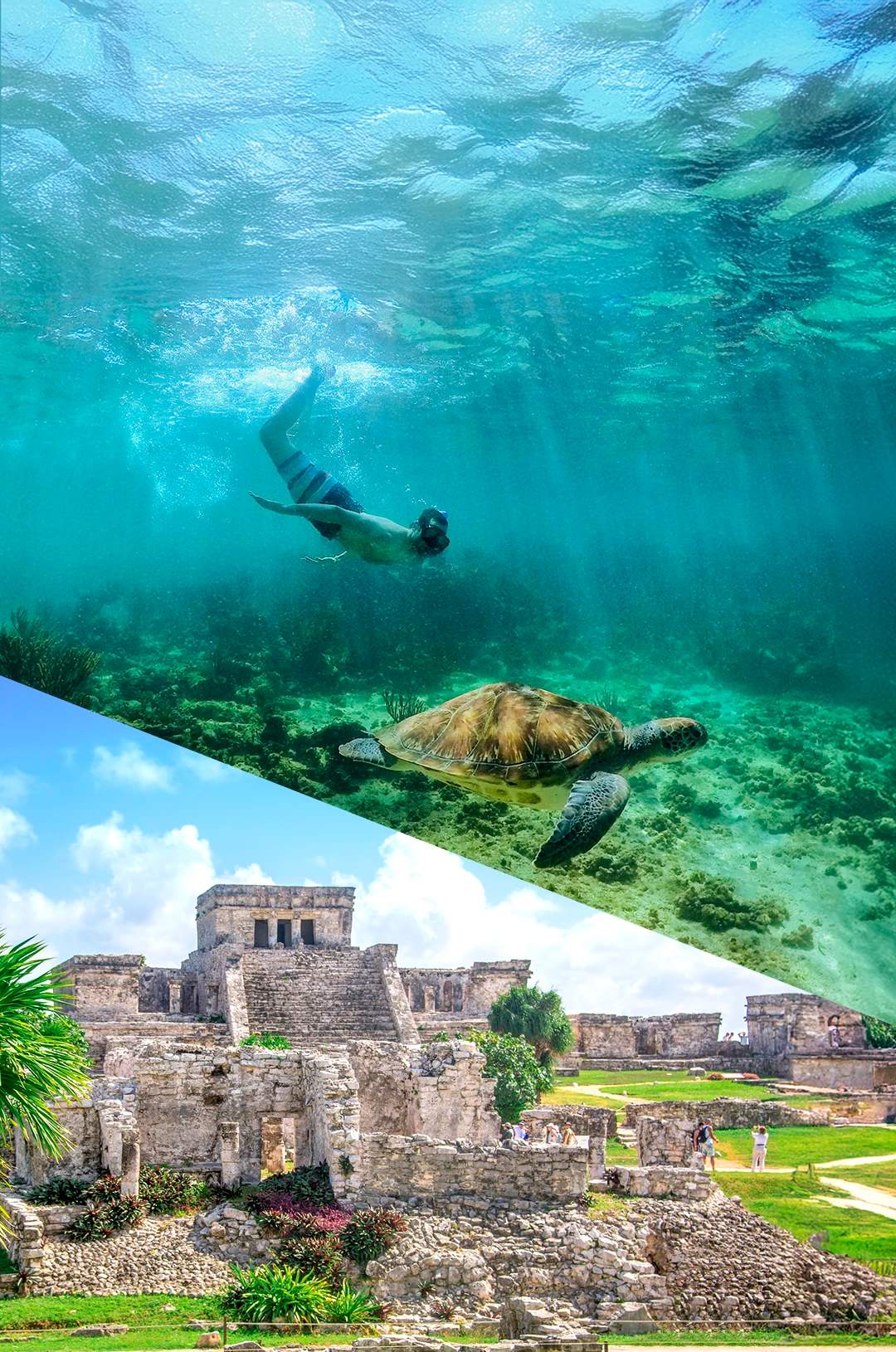 Cancun package tour that combines a Tulum tour and a swim with turtles in Akumal.