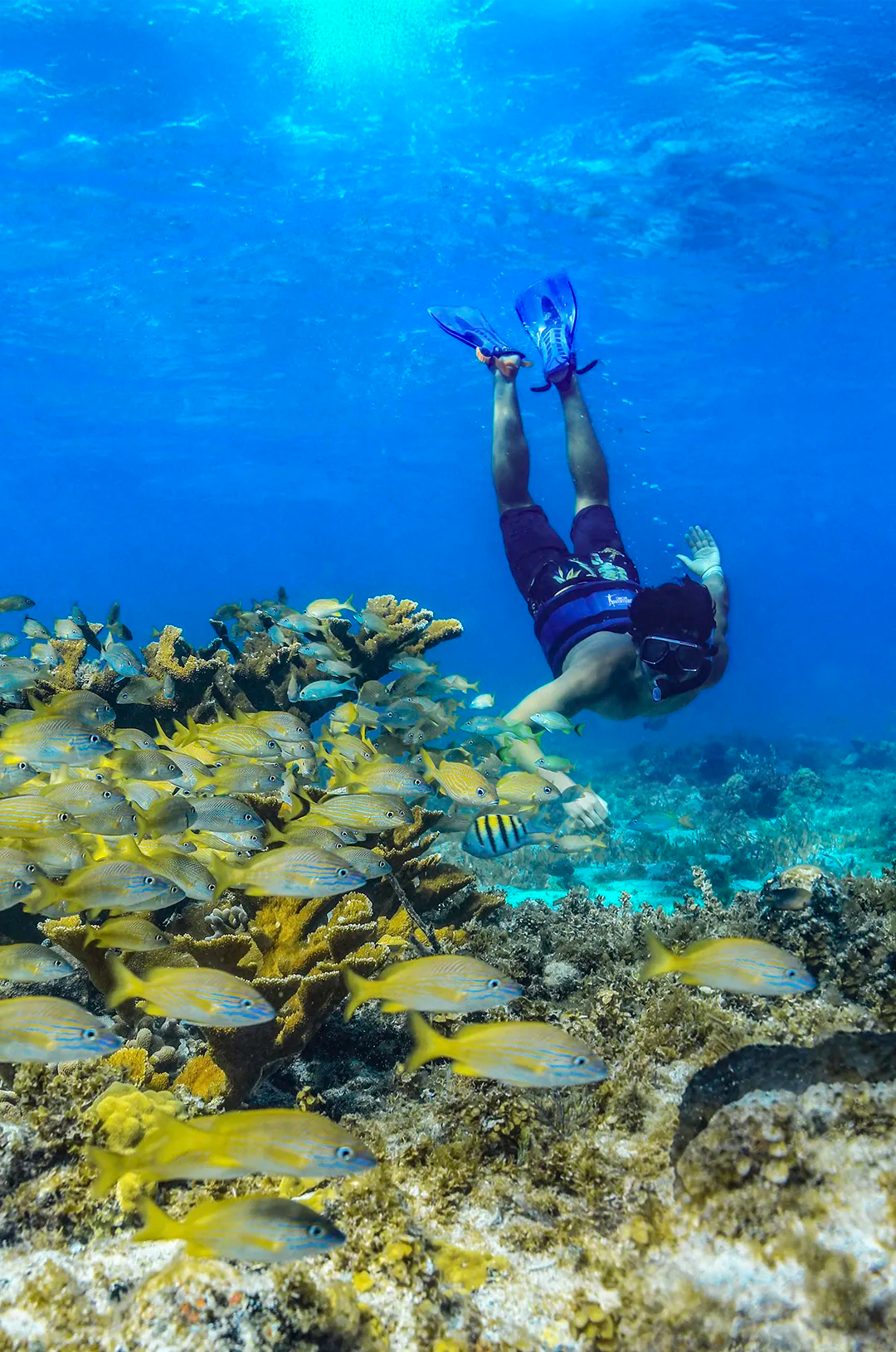 Man snorkeling in Puerto Morelos reef