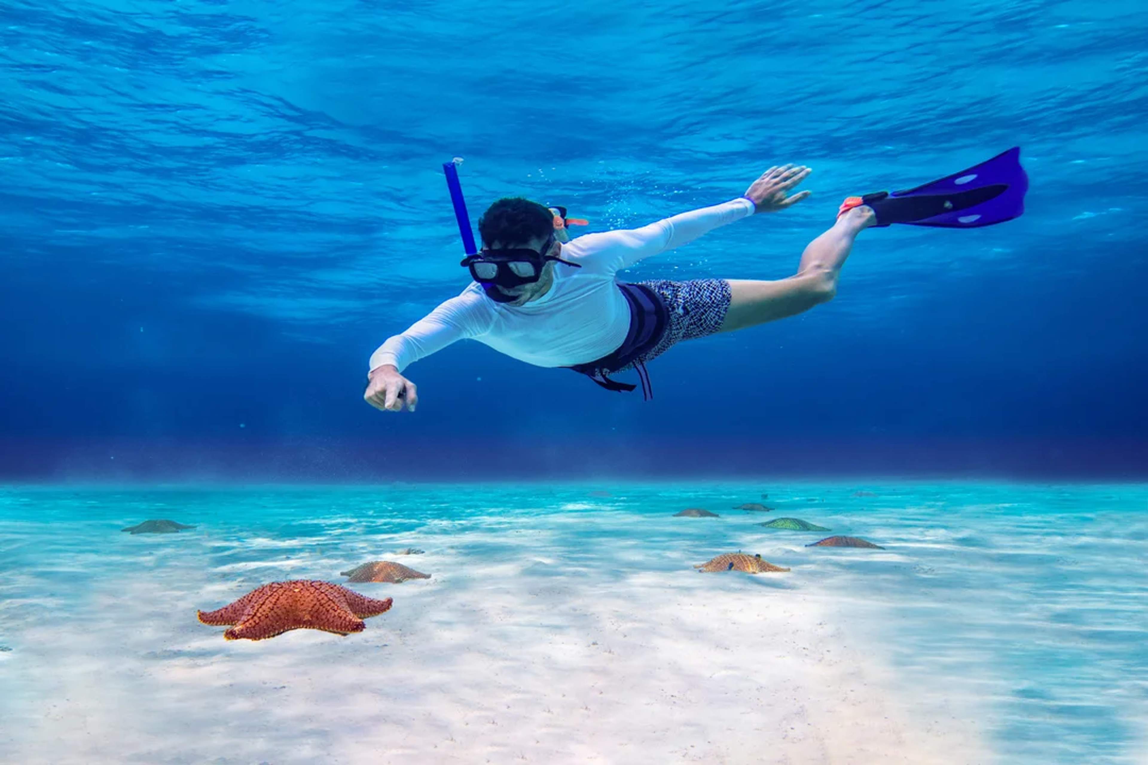 Haz snorkel en aguas cristalinas y conoce coloridas estrellas de mar en una aventura marina única.