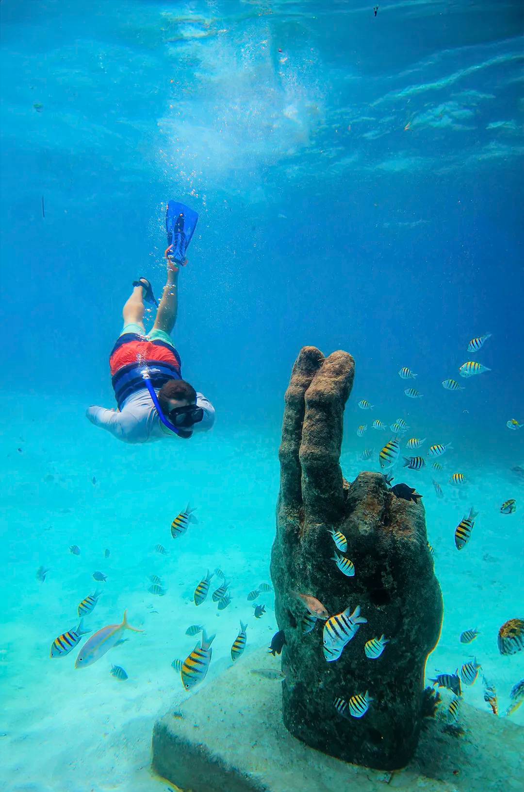 Snorkeling at The Blessings, part of Cancun Underwater Museum.