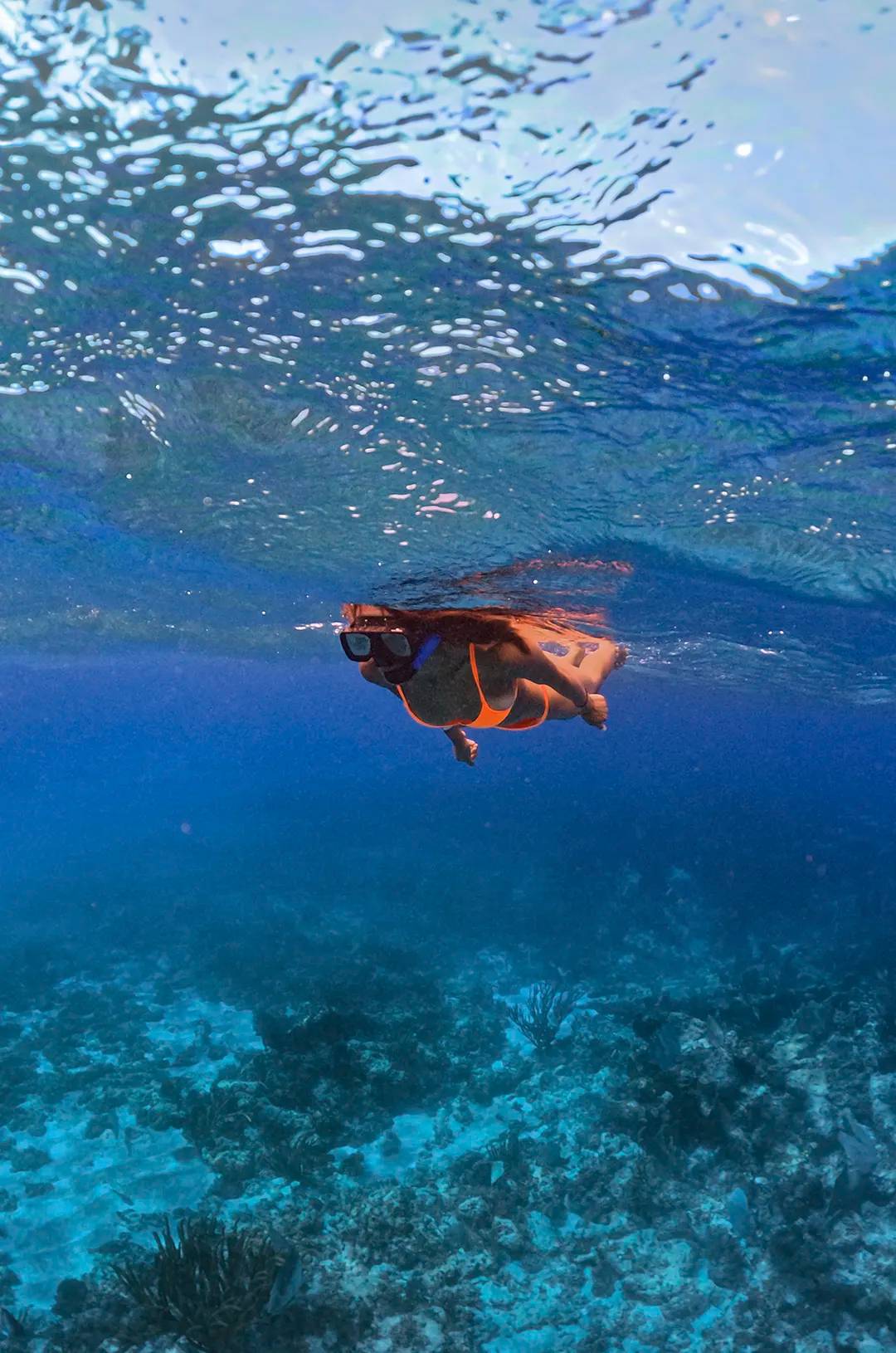Snorkel en El Cielo, Cozumel: Mujer nadando en aguas claras explorando el arrecife submarino.