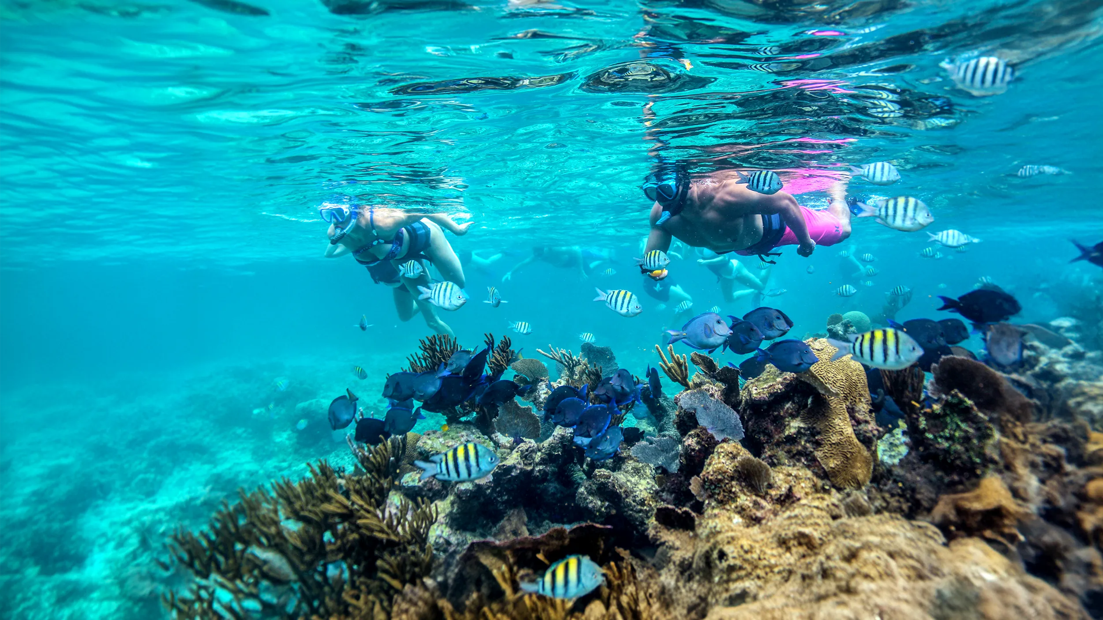Snorkeling in Cancun
