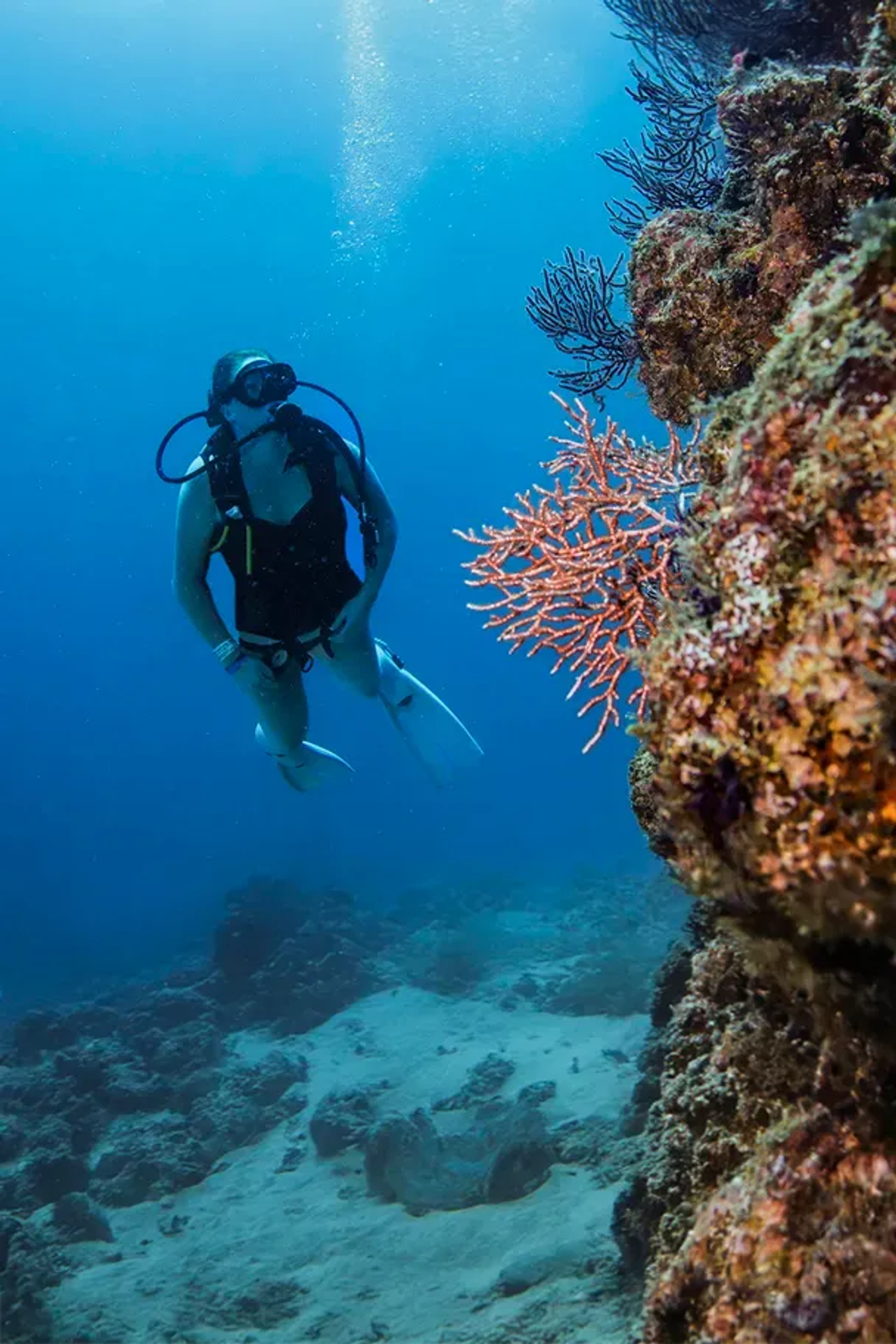 Cancun scuba diving tours