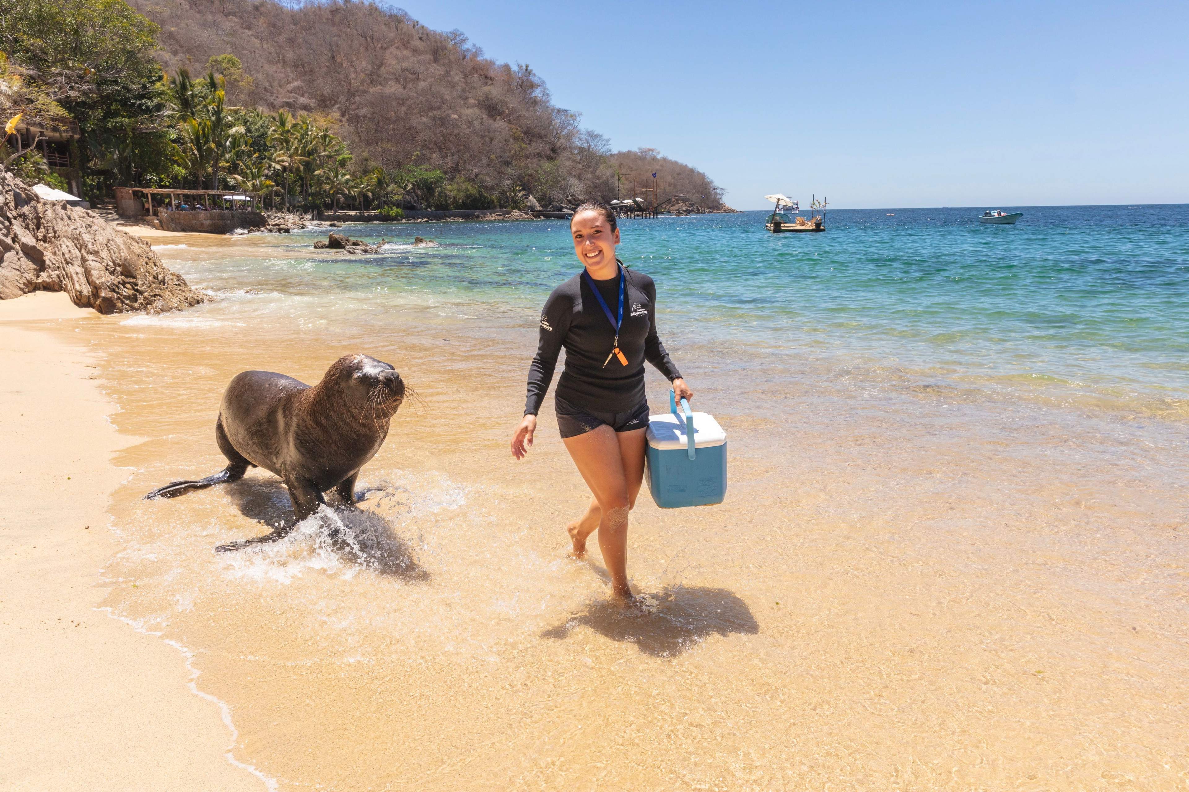 Animal care specialist with a sea lion.