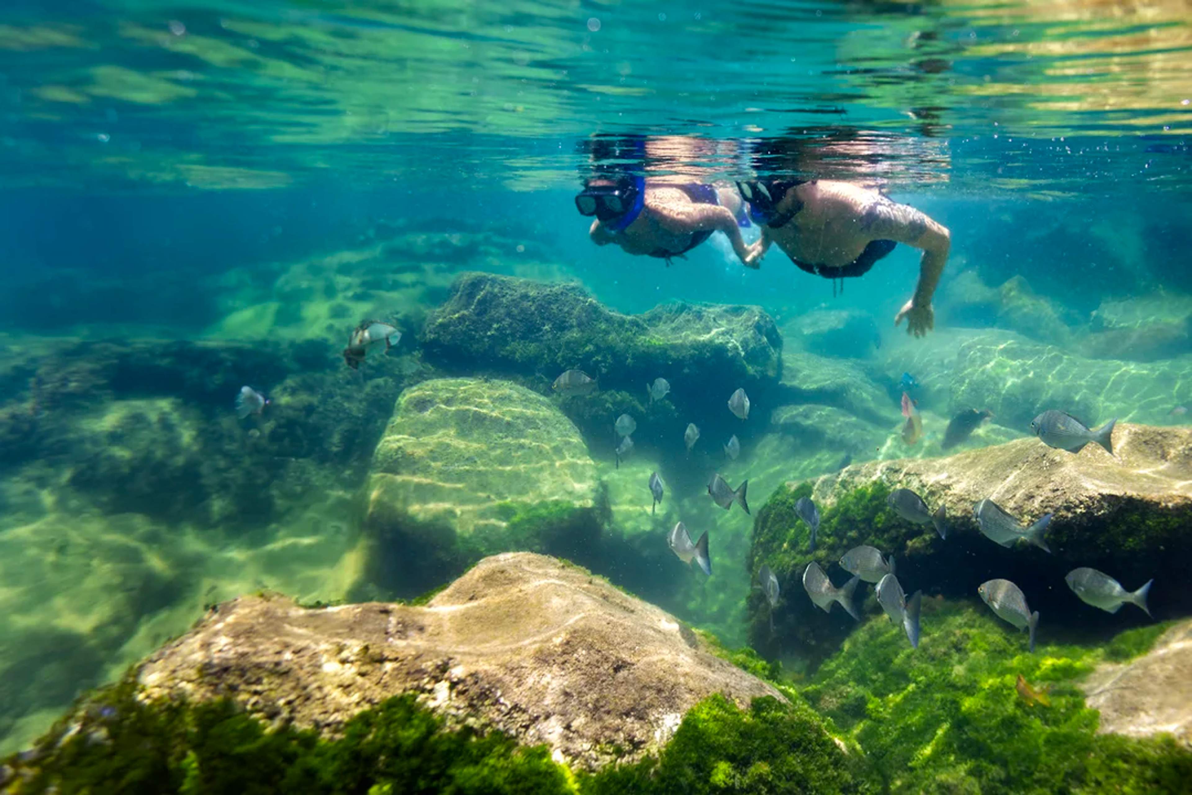 Two snorkelers explore a rocky underwater paradise filled with tropical fish and clear water.