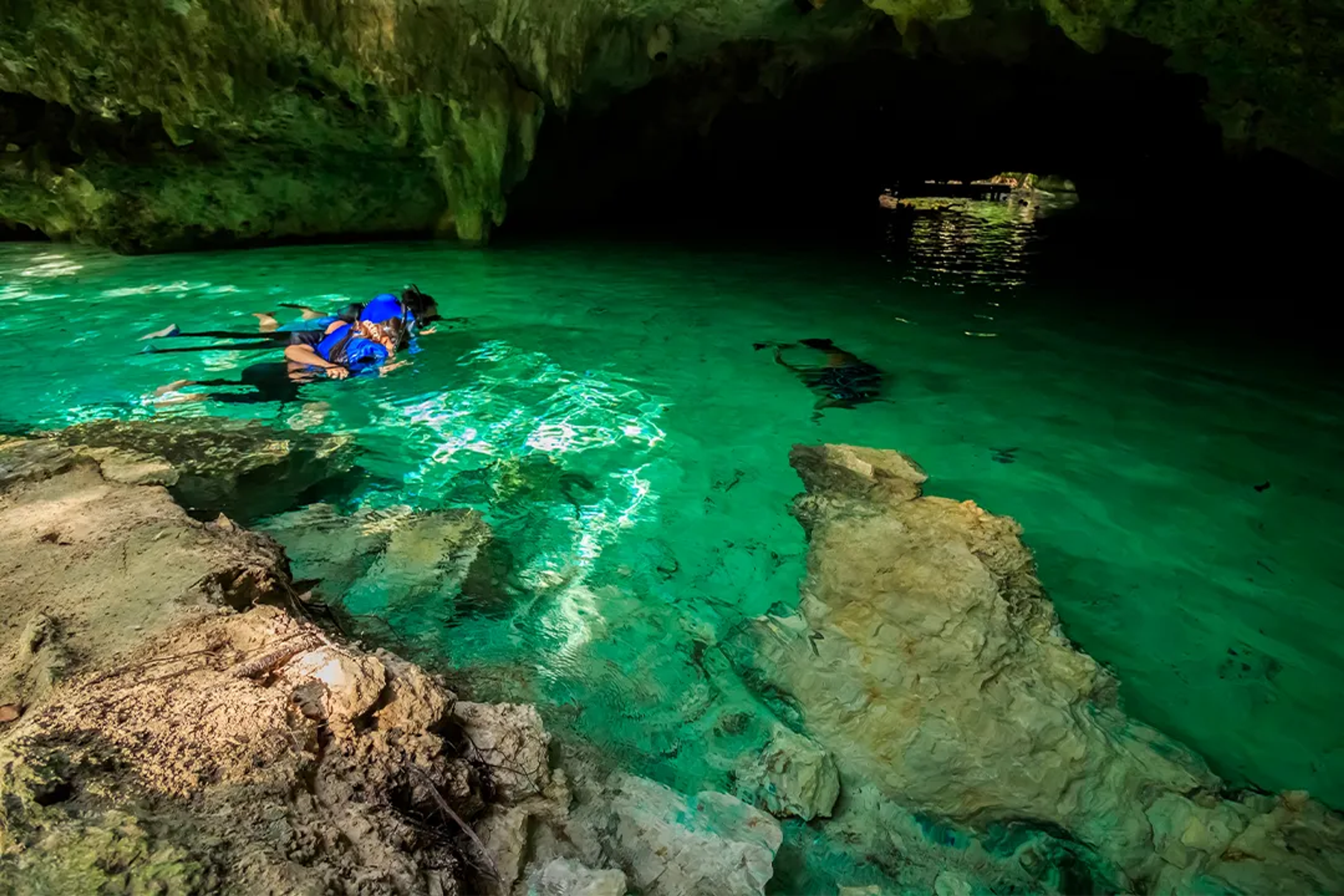 Person snorkeling in a cenote with clear turquoise water, highlighting the unique underwater experience.