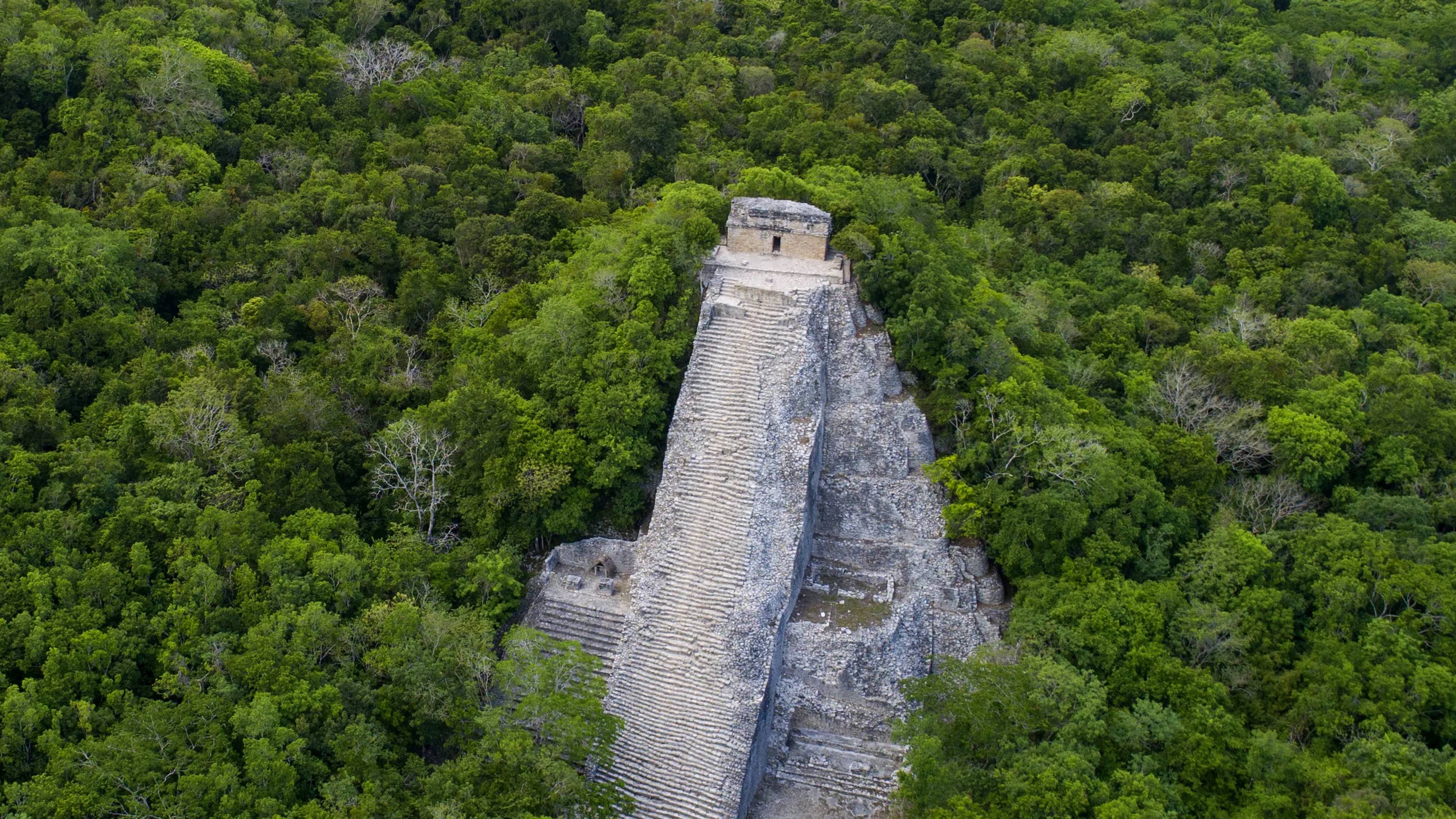 Coba ruins aerial view of an ancient Mayan pyramid surrounded by dense