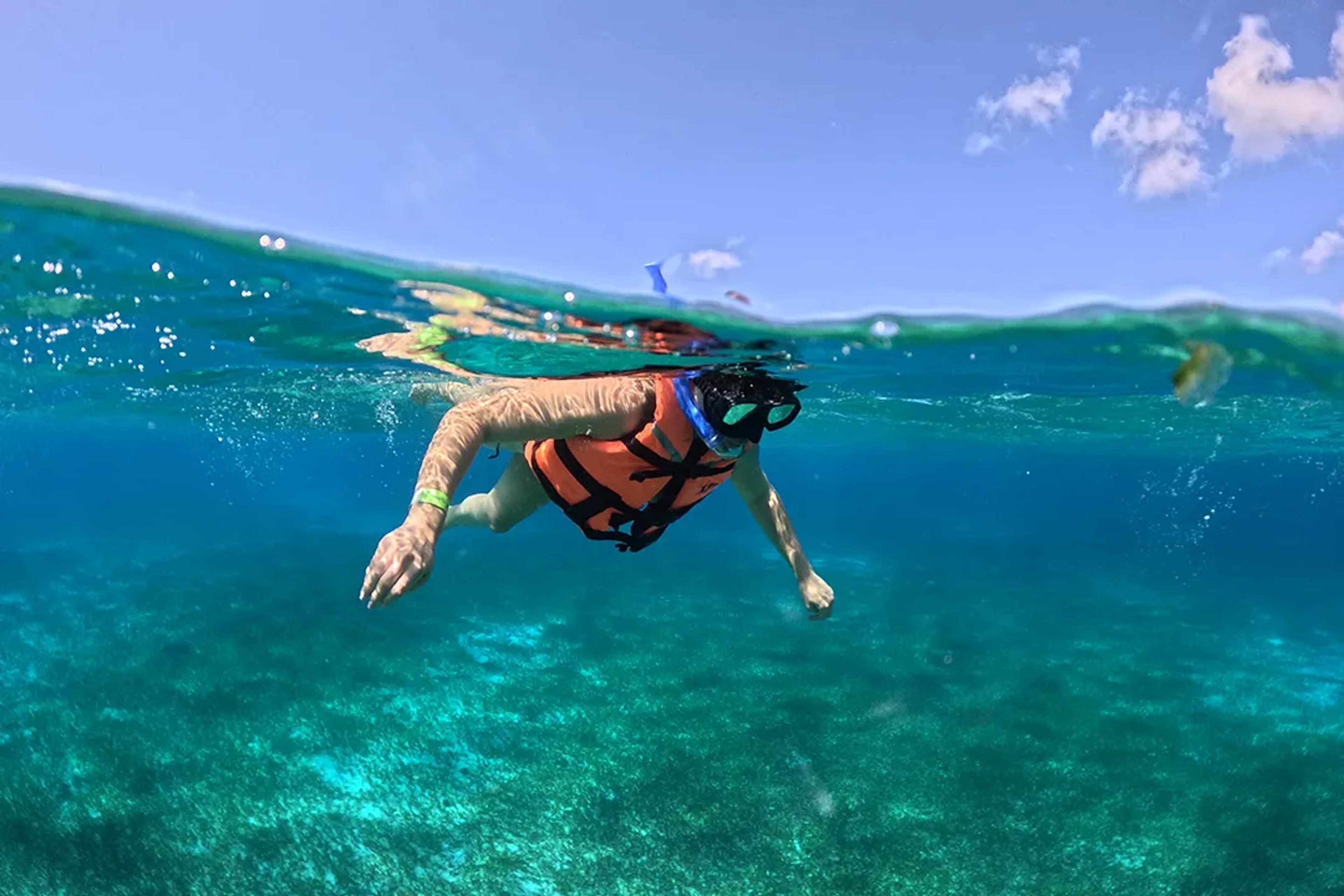 Persona practicando snorkel en aguas turquesa cristalinas con vida marina en el mar Caribe, Mexico