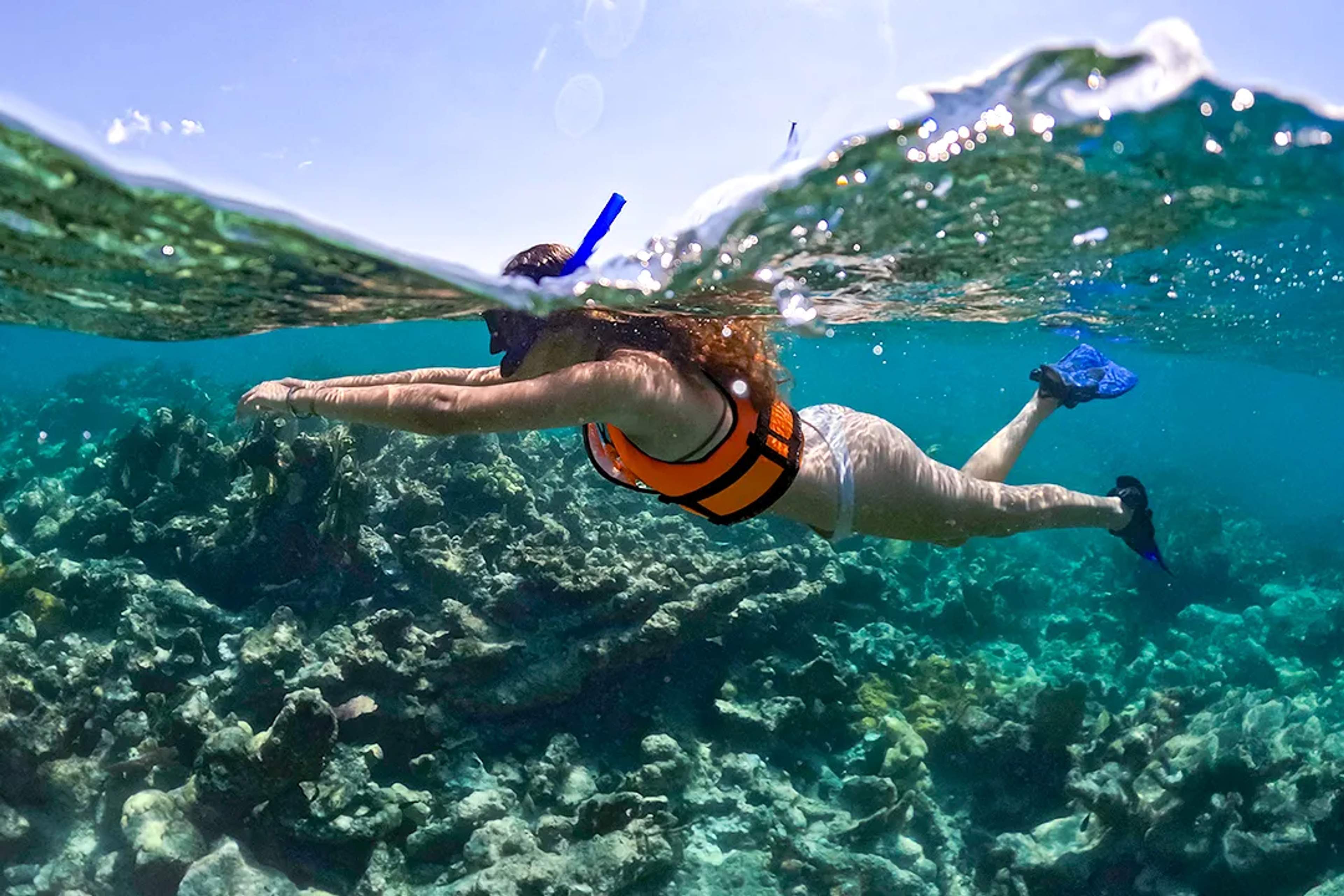 Woman snorkeling over coral reef in Caribbean Sea, clear water marine life on guided snorkeling tour
