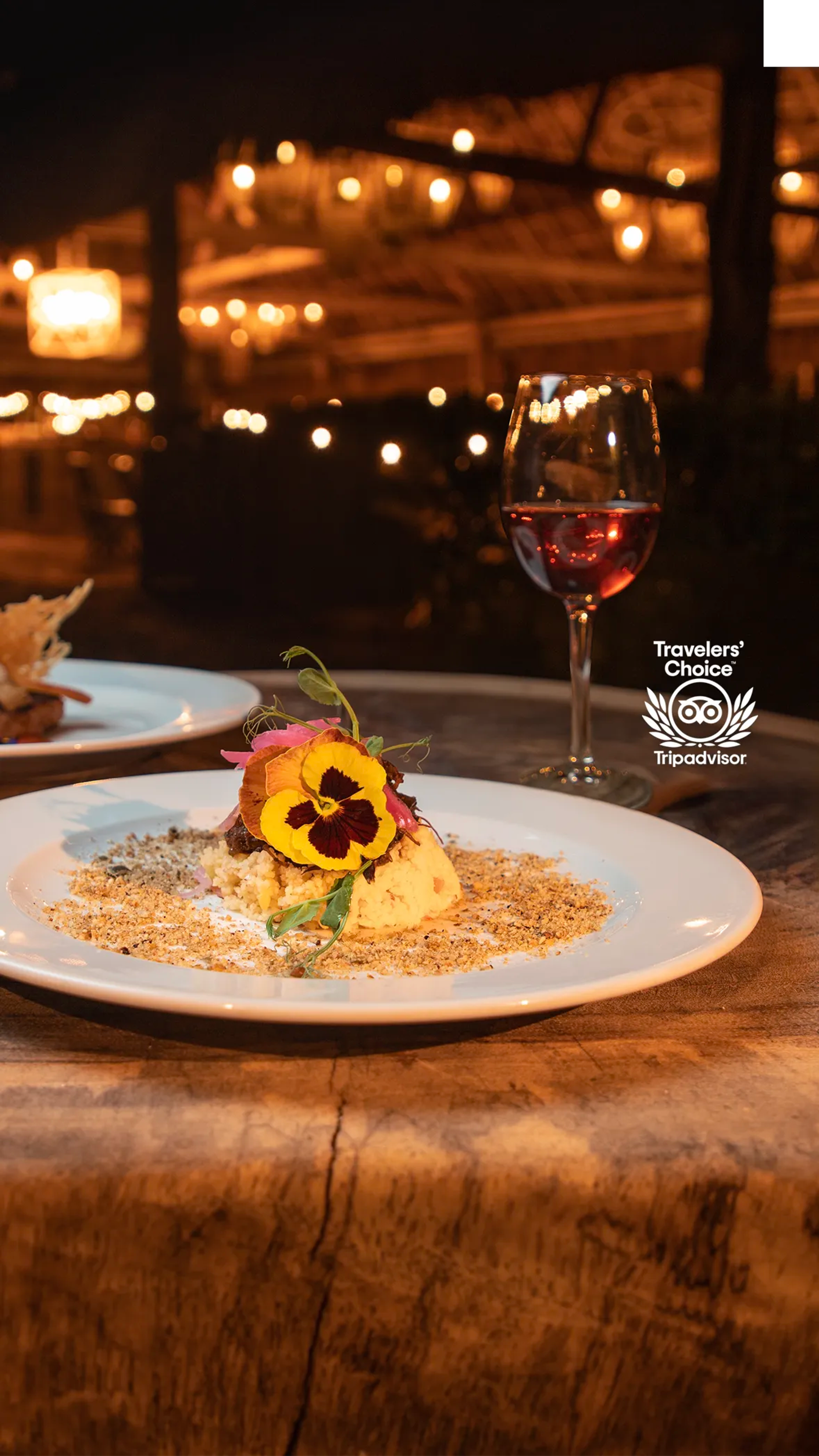 Cancun Food Tours.
