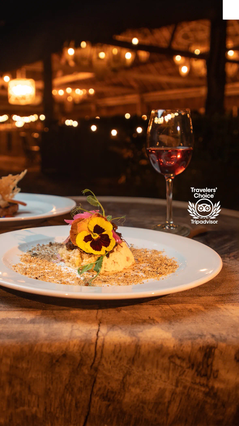 Tours Gastronómicos en Cancún.