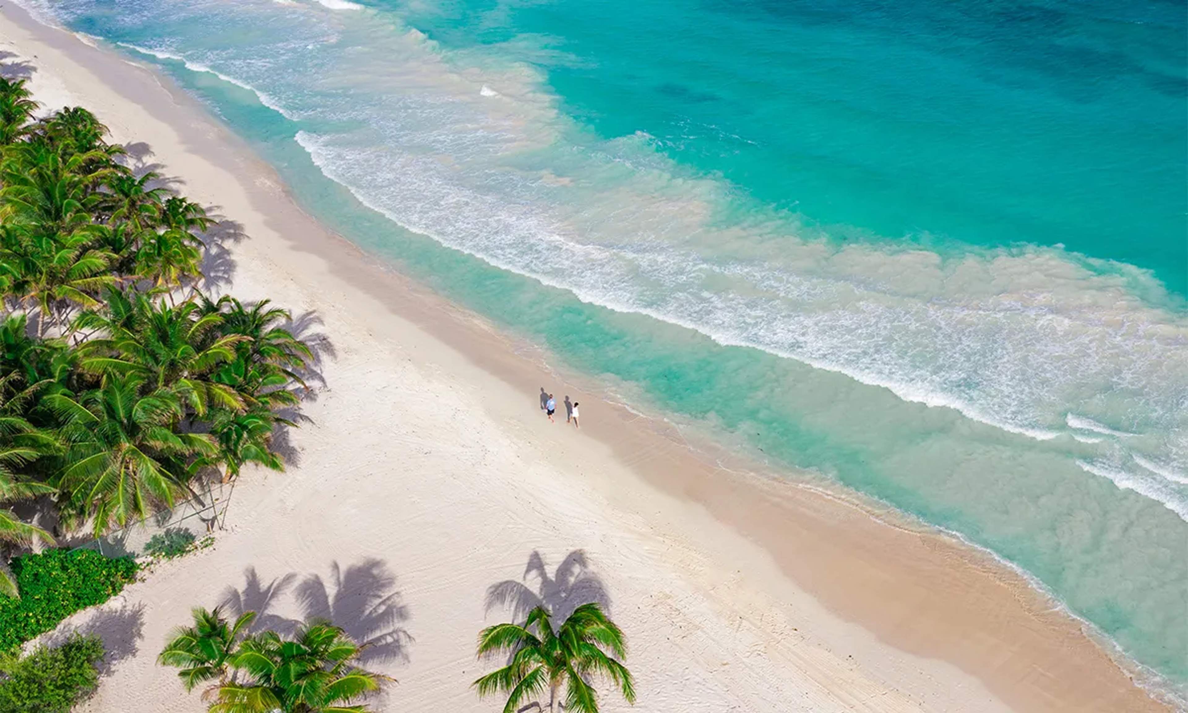 A serene Cancun beach with white sand, turquoise waters, and palm trees lining the shore.