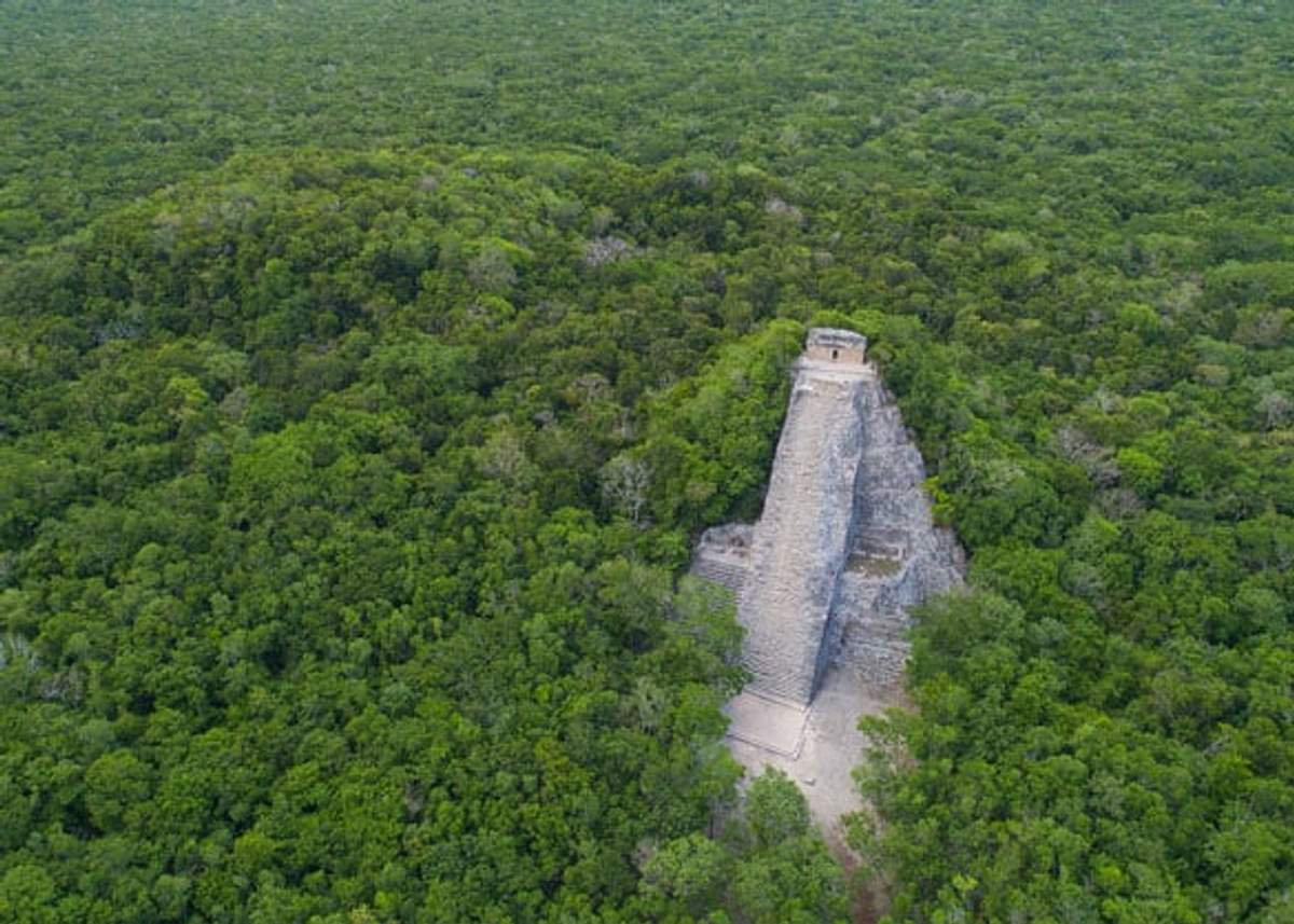 Una vista aérea de la antigua pirámide maya en Cobá, elevándose sobre la densa jungla verde. La empinada estructura de piedra destaca entre el frondoso bosque, mostrando su importancia histórica.