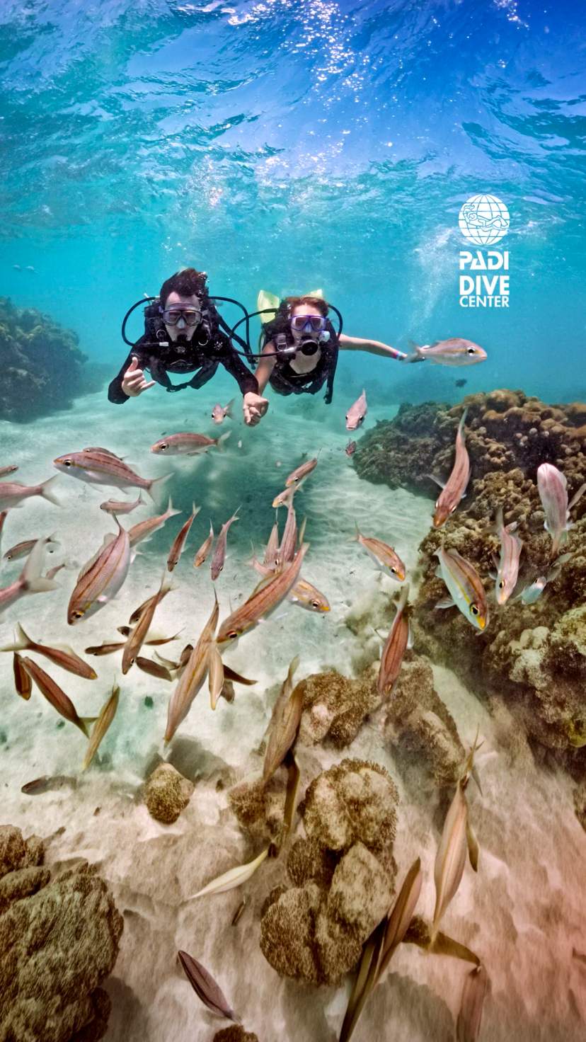 Discover the underwater beauty with scuba diving tours in Cancun, exploring vibrant reefs and marine life.